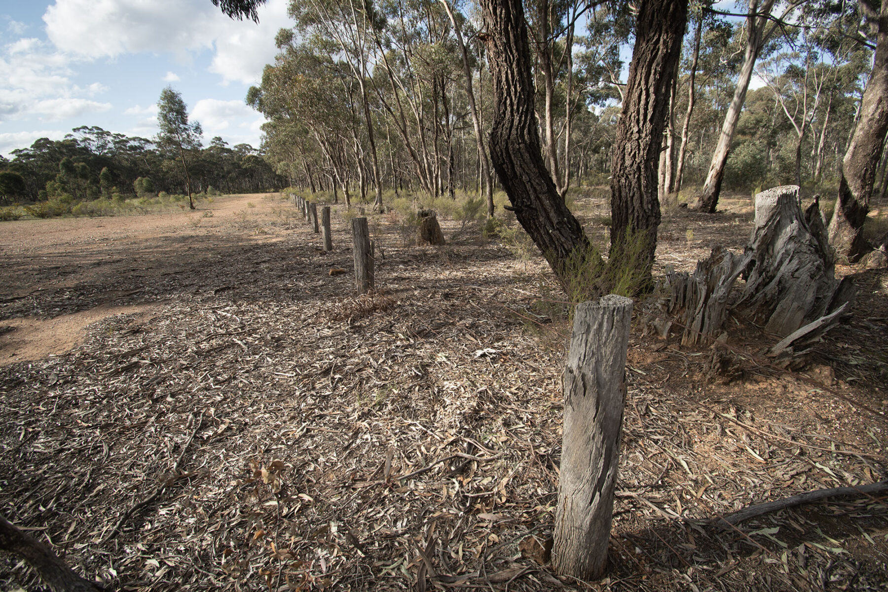 Property: 300 St Arnaud-Dunolly Road, Goldsborough, VIC, 3472 photo-19