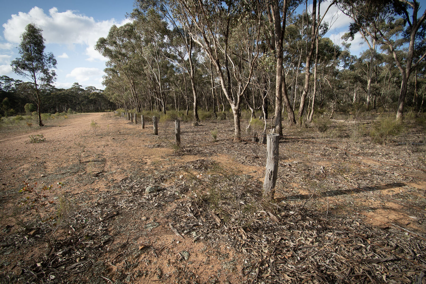 Property: 300 St Arnaud-Dunolly Road, Goldsborough, VIC, 3472 photo-20