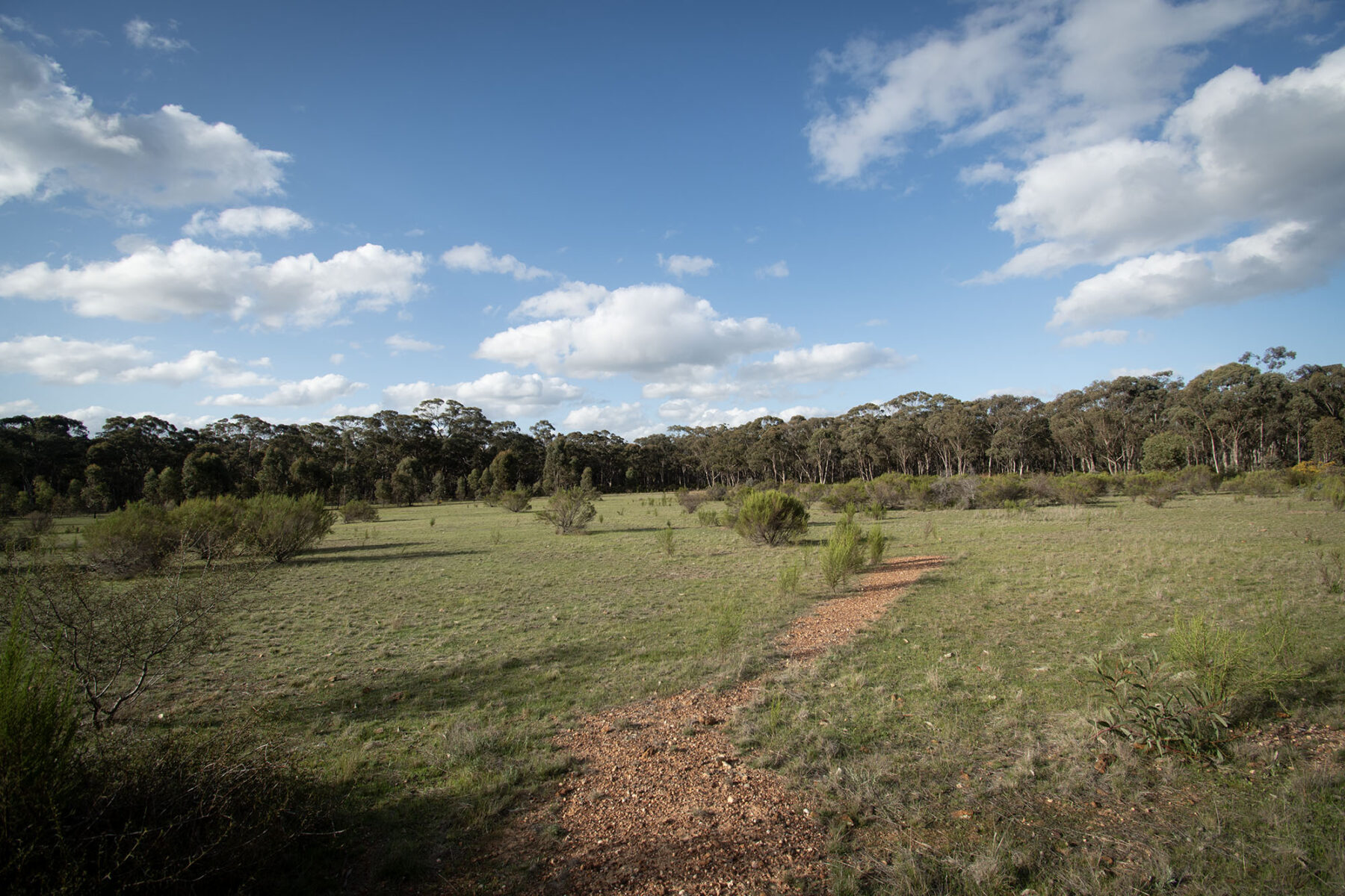 Property: 300 St Arnaud-Dunolly Road, Goldsborough, VIC, 3472 photo-5