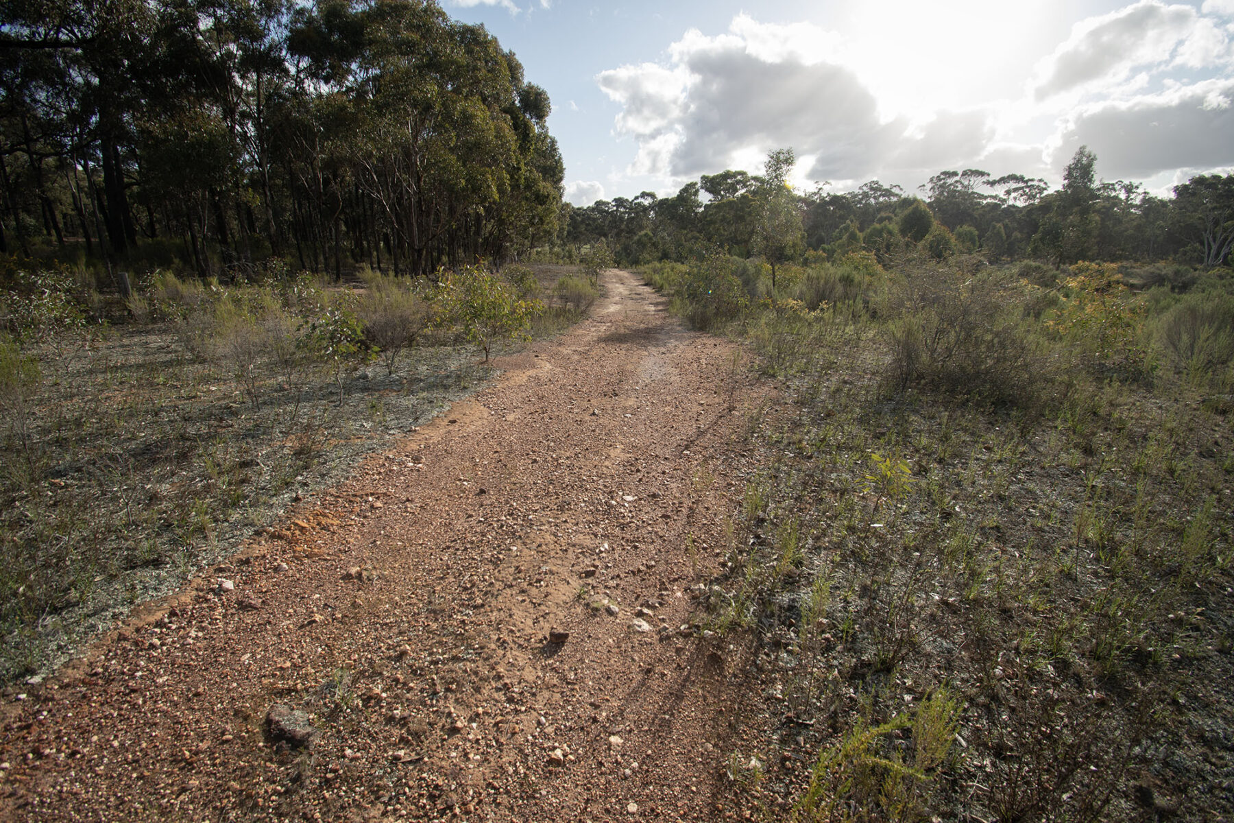Property: 300 St Arnaud-Dunolly Road, Goldsborough, VIC, 3472 photo-6