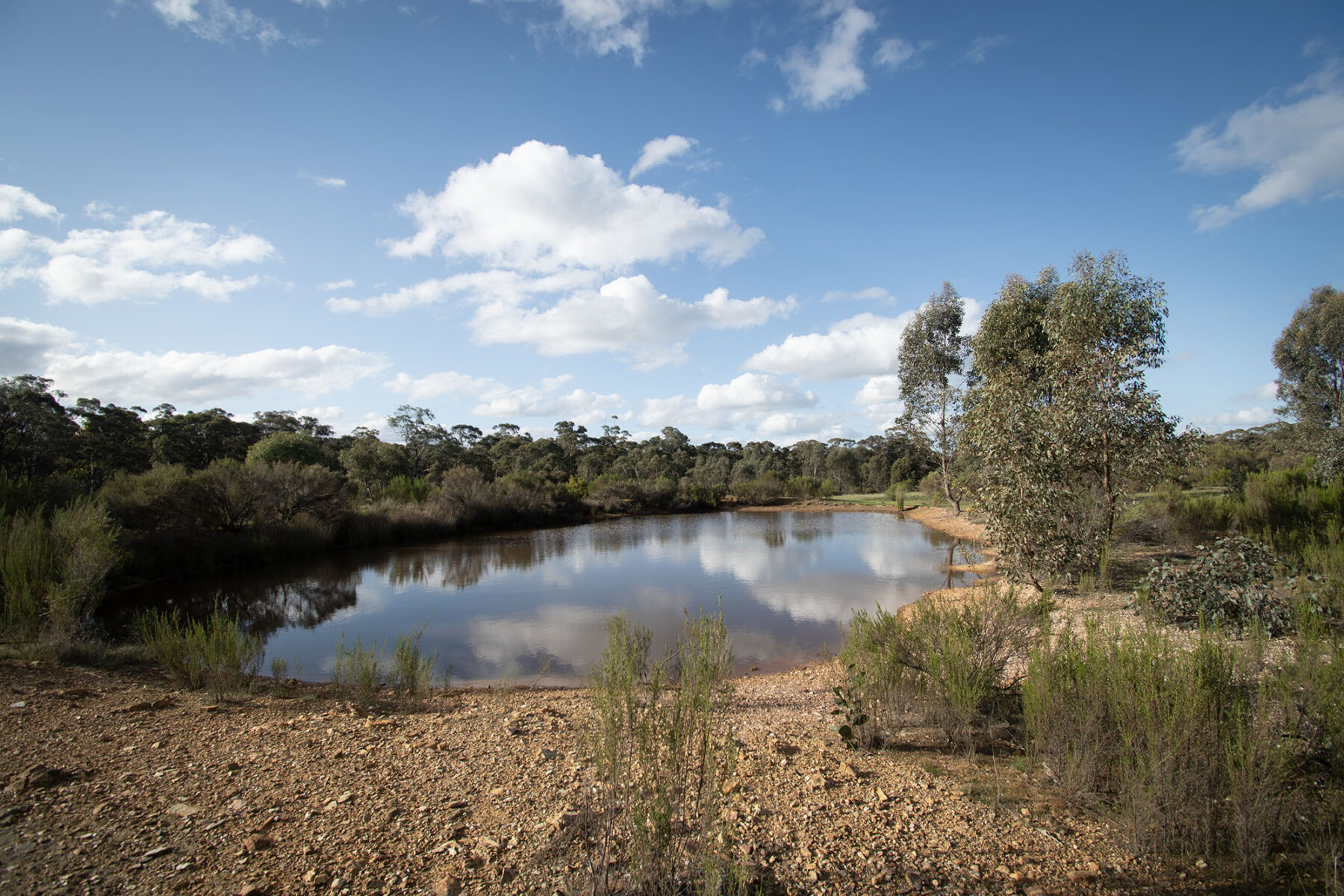 Property: 300 St Arnaud-Dunolly Road, Goldsborough, VIC, 3472 photo-7
