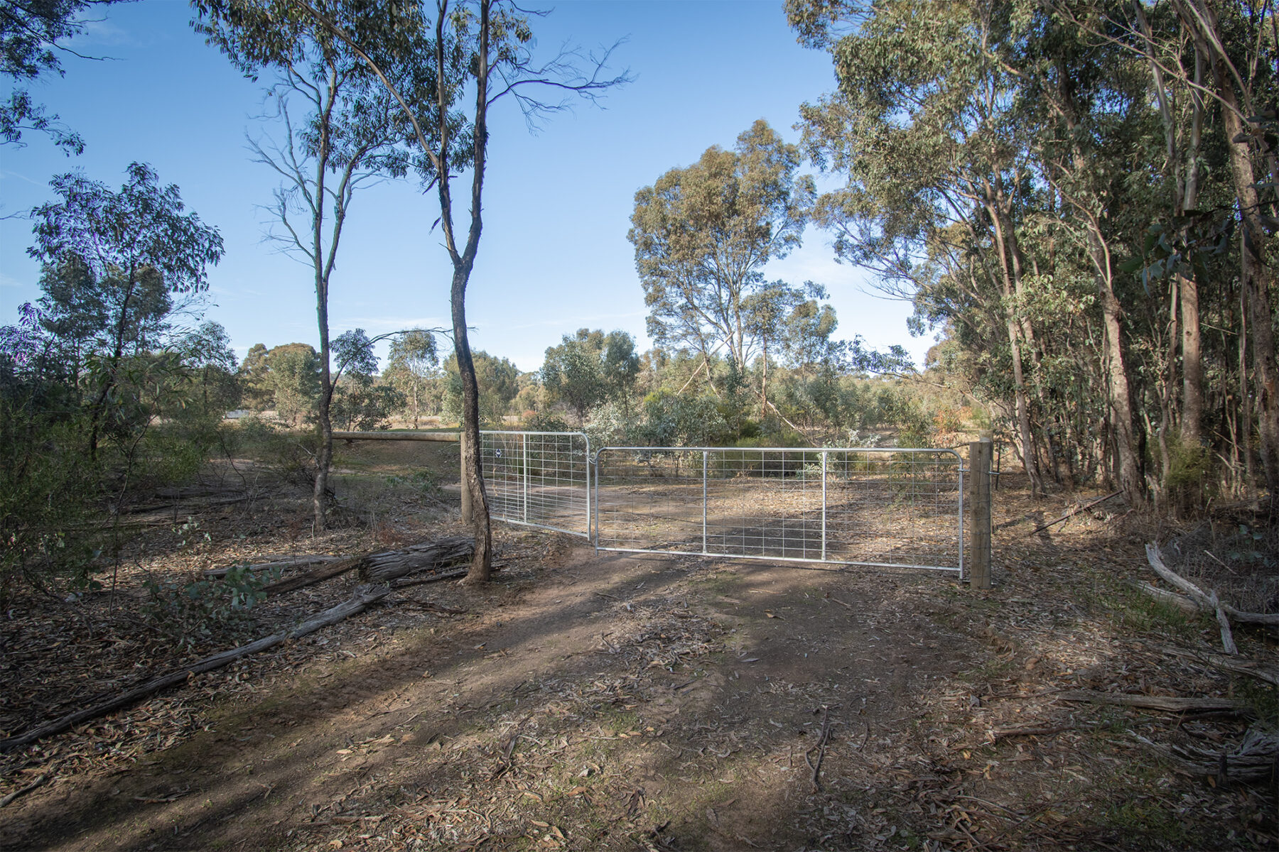Property: CA6 SEC 1 Rheola-Arnold Road, Rheola, Vic, 3517 photo-10