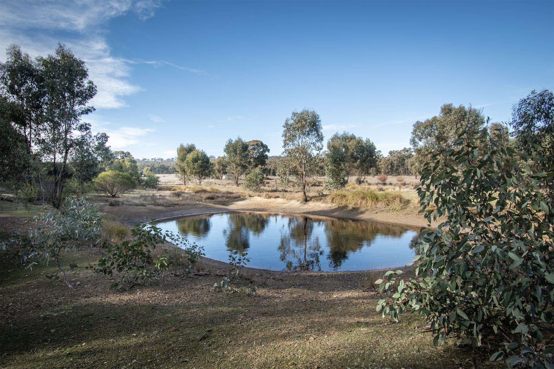 Property: CA6 SEC 1 Rheola-Arnold Road, Rheola, Vic, 3517 photo-9