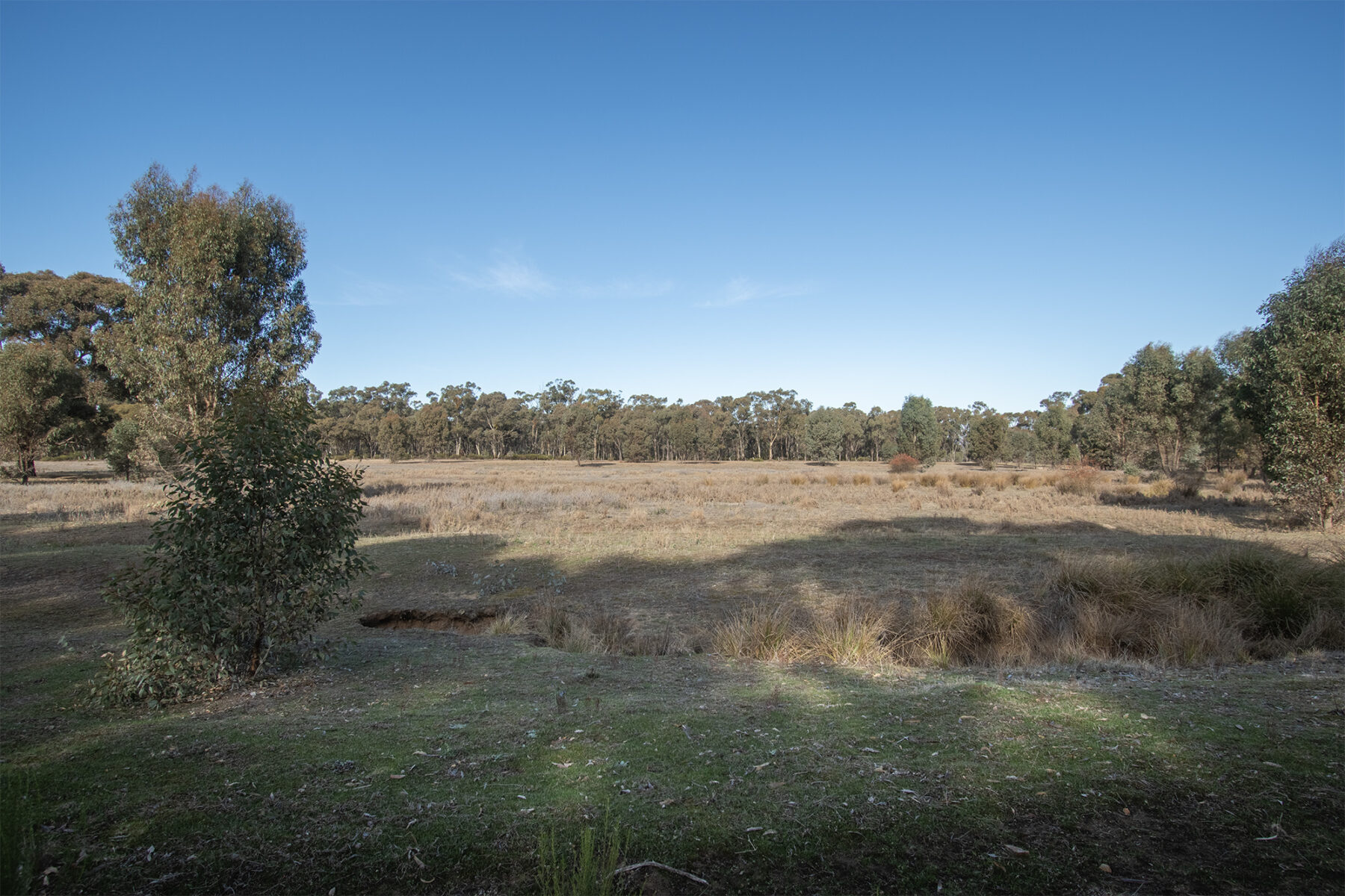 Property: CA6 SEC 1 Rheola-Arnold Road, Rheola, Vic, 3517 photo-8