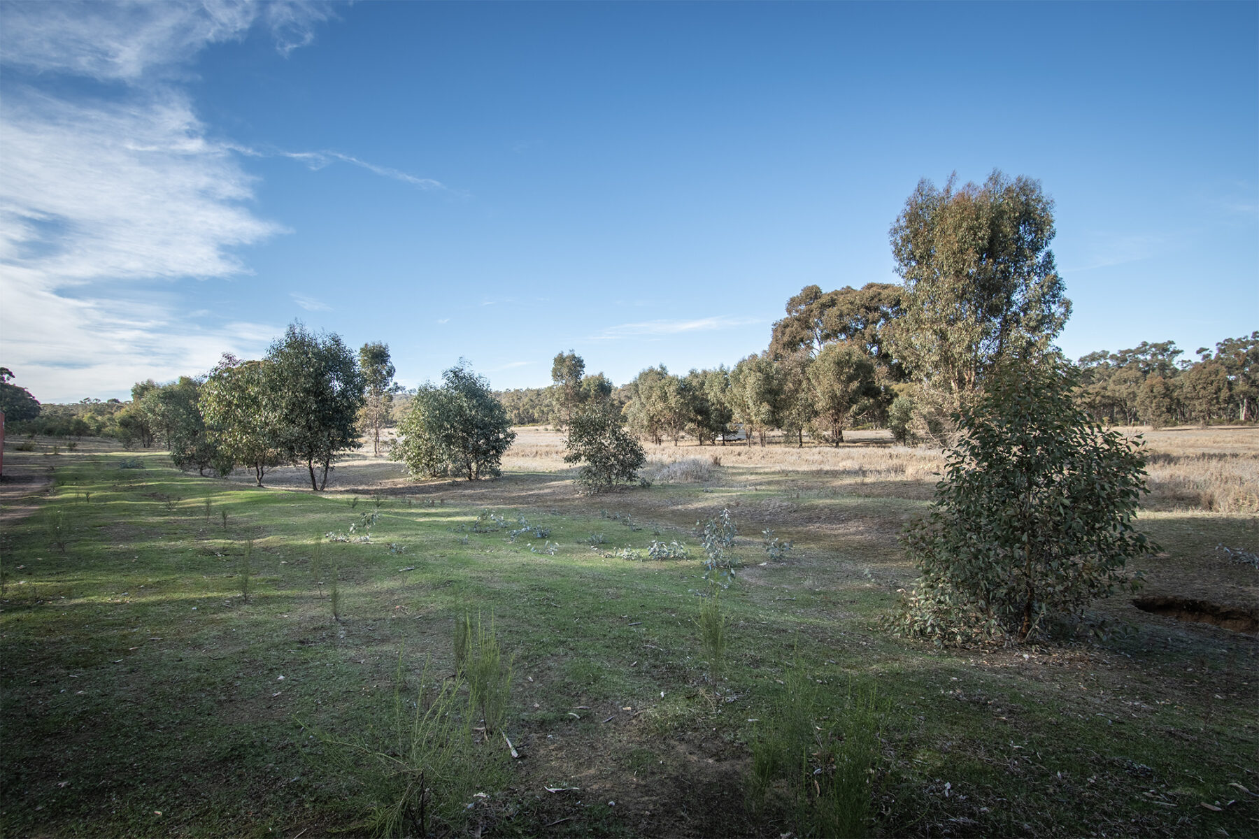 Property: CA6 SEC 1 Rheola-Arnold Road, Rheola, Vic, 3517 photo-7