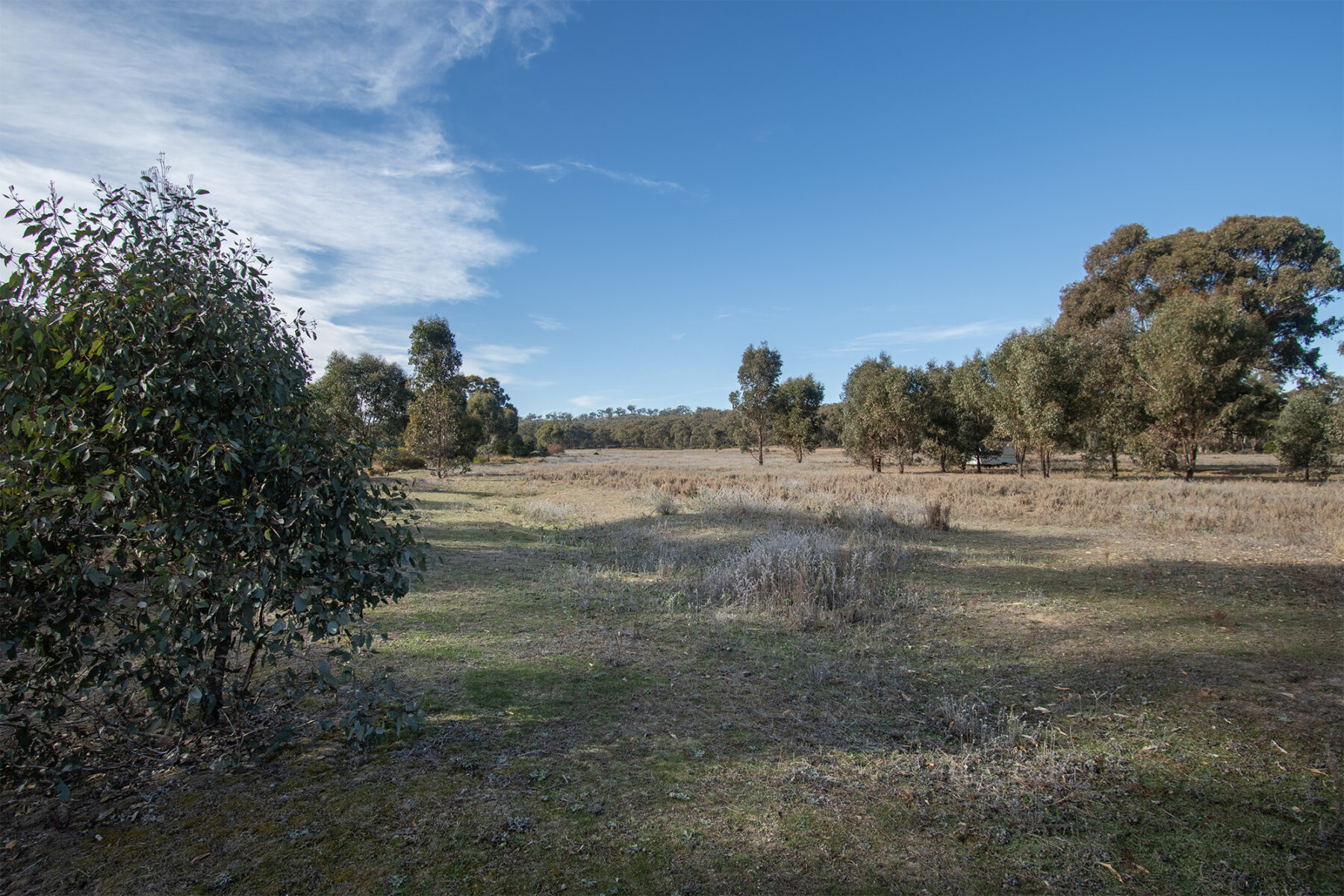 Property: CA6 SEC 1 Rheola-Arnold Road, Rheola, Vic, 3517 photo-6