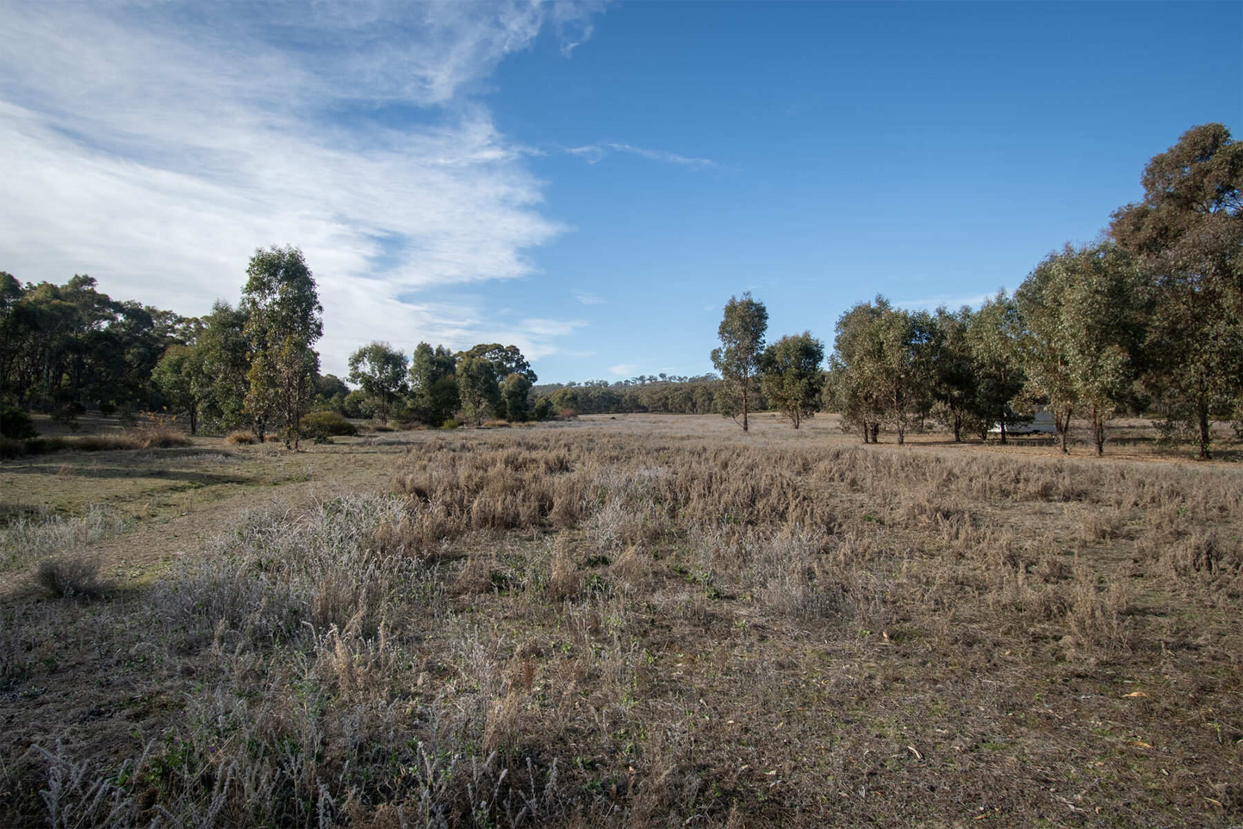 Property: CA6 SEC 1 Rheola-Arnold Road, Rheola, Vic, 3517 photo-5
