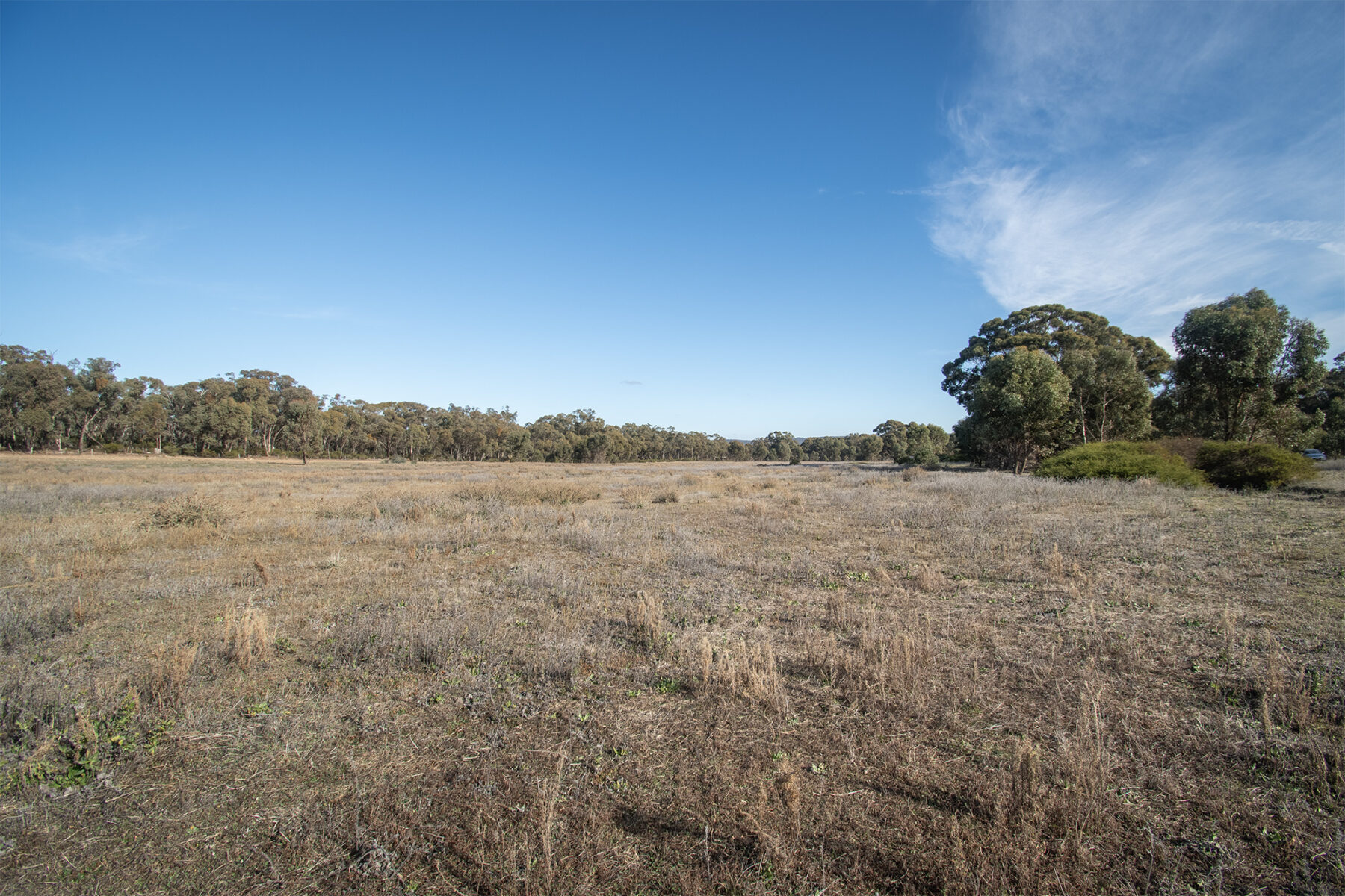 Property: CA7 SEC 1 Rheola - Arnold Road, Rheola, 3517 photo-12