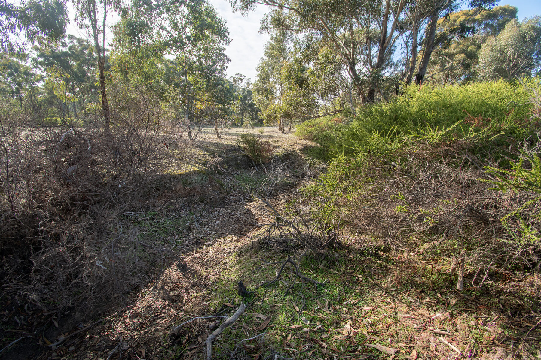 Property: CA7 SEC 1 Rheola - Arnold Road, Rheola, 3517 photo-10