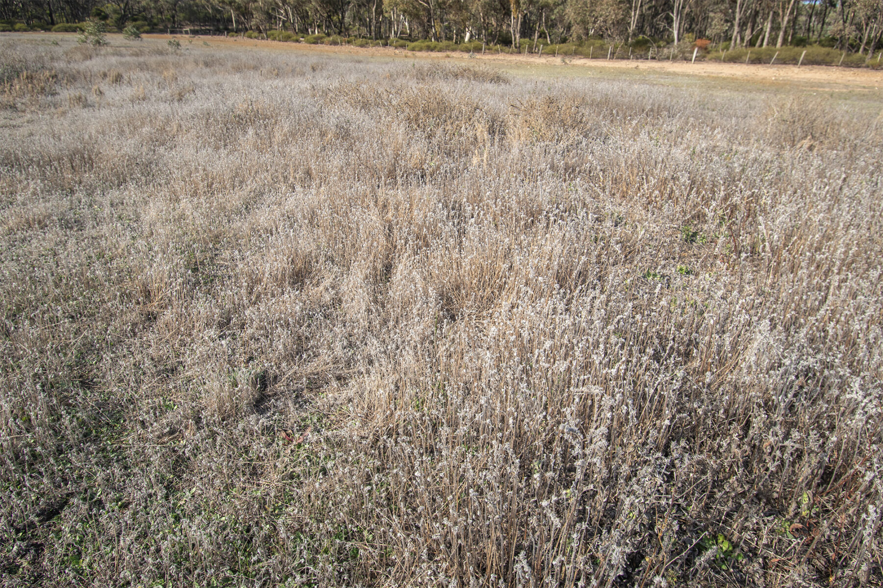 Property: CA7 SEC 1 Rheola - Arnold Road, Rheola, 3517 photo-7