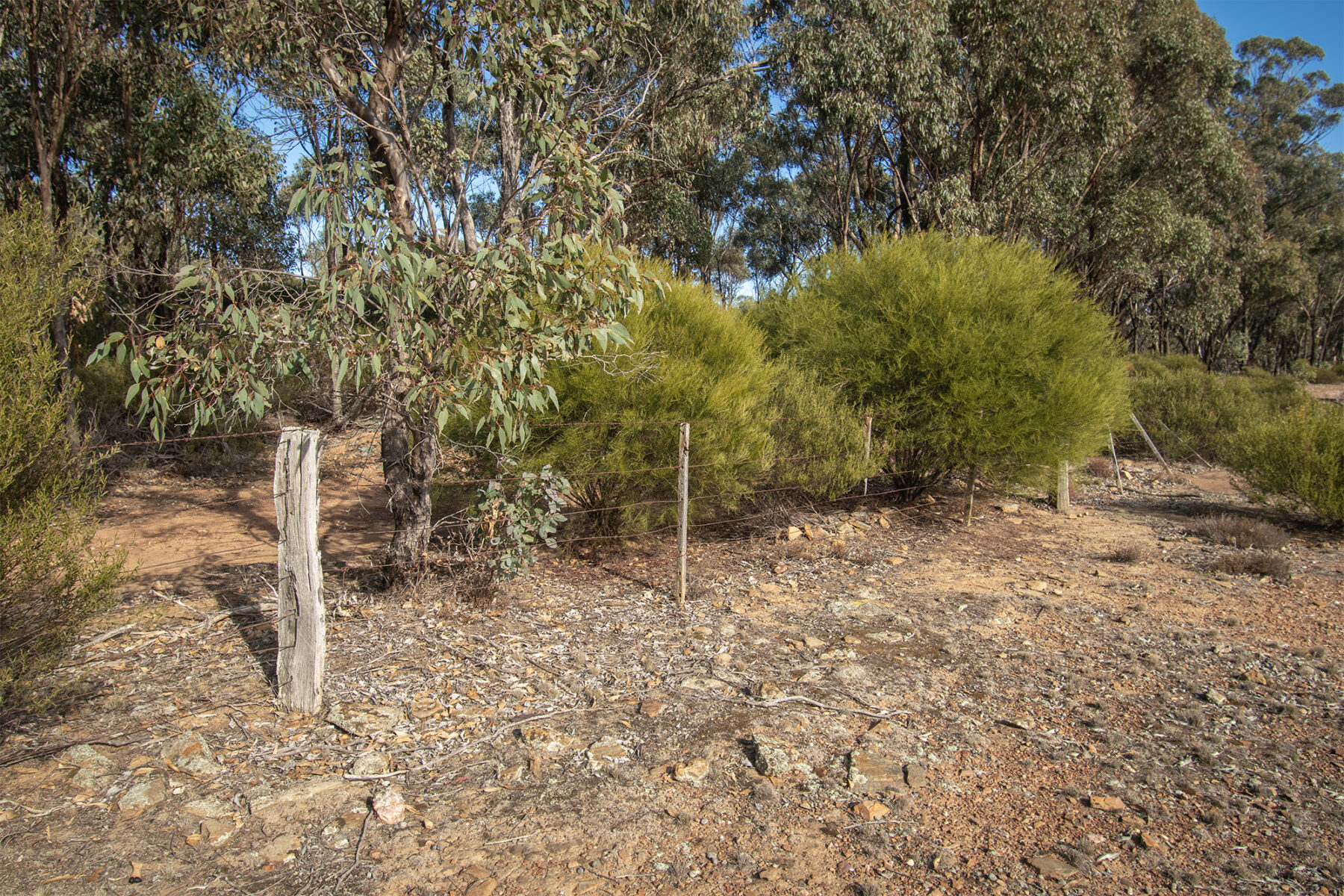 Property: CA7 SEC 1 Rheola - Arnold Road, Rheola, 3517 photo-6