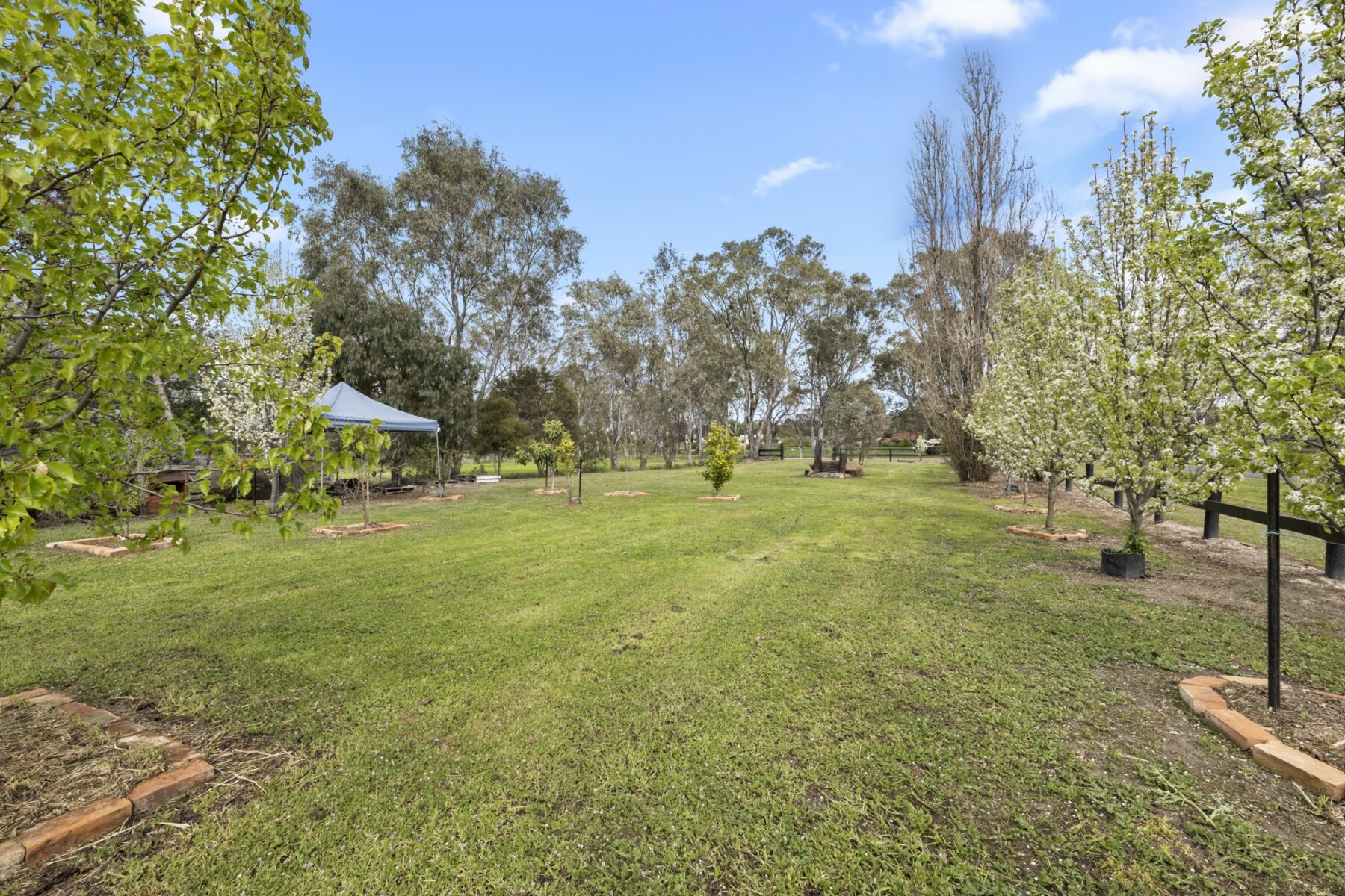 Property: 133 High Street, Avoca, Vic, 3467 photo-13