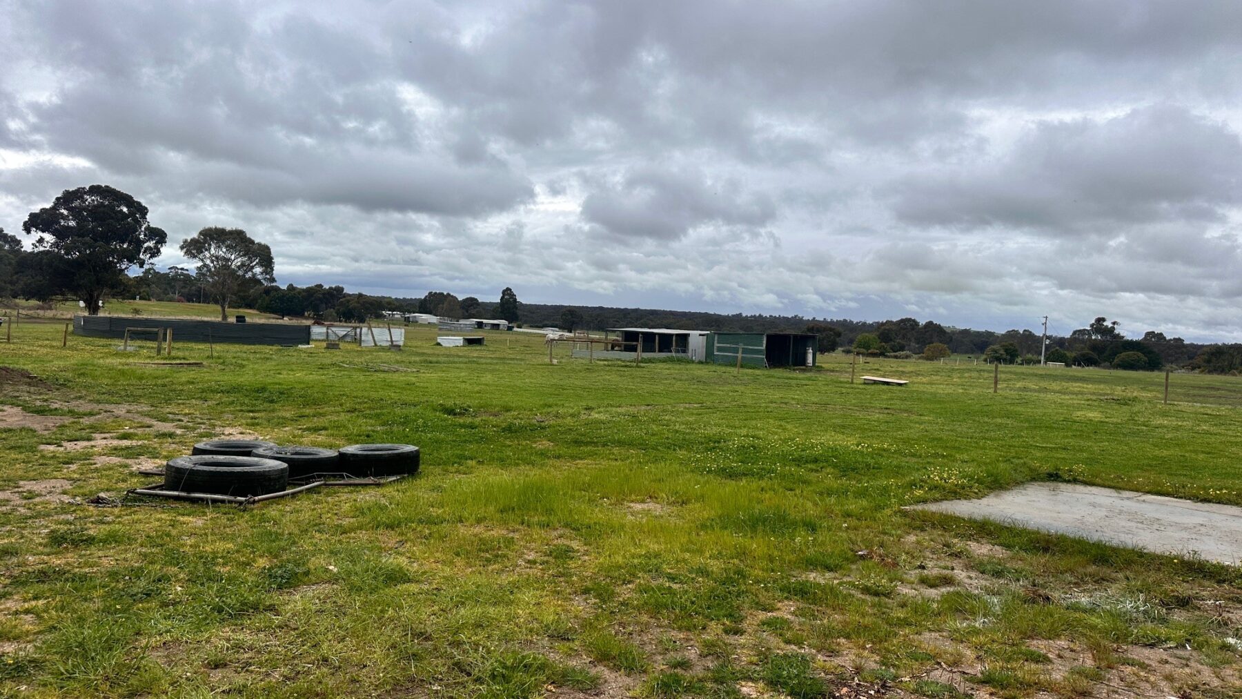 Property: 101 William Street, Majorca, VIC, 3465 photo-11