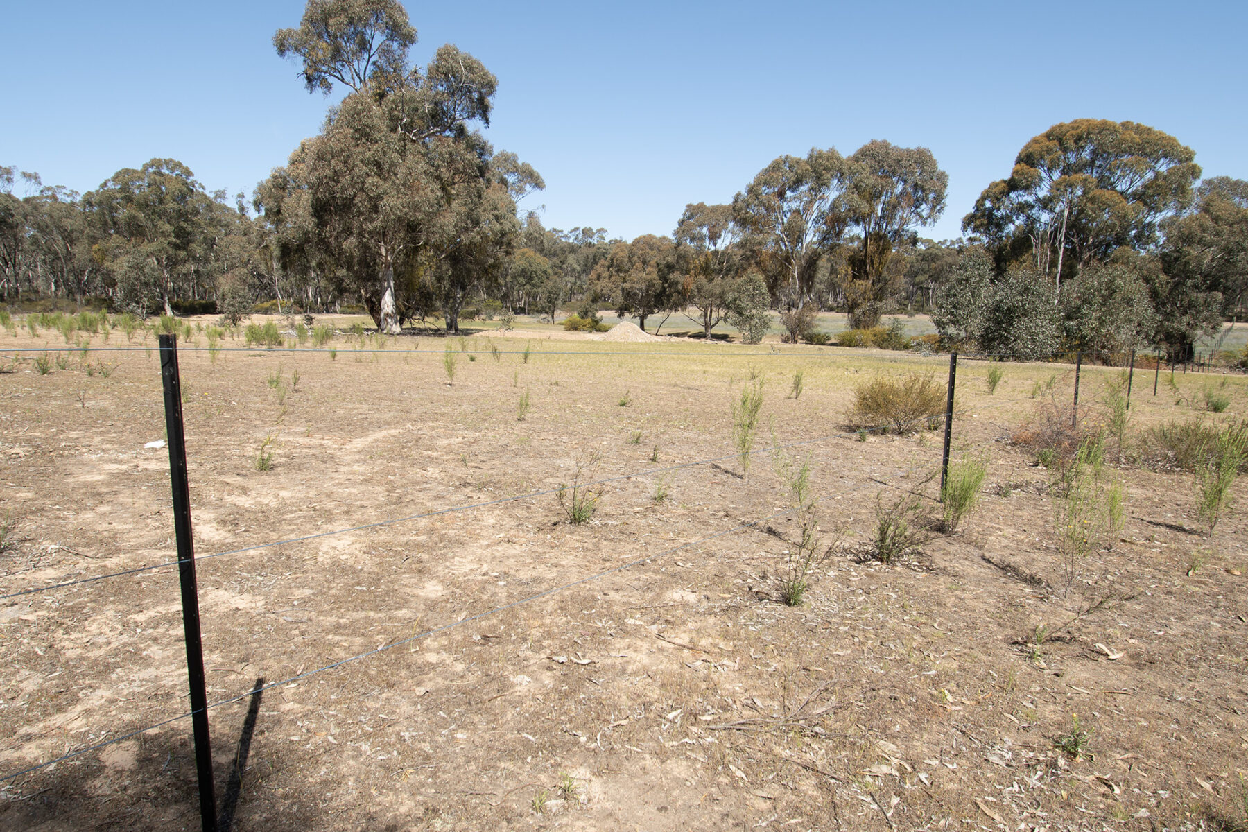 Property: Rheola, Vic, 3517 photo-14