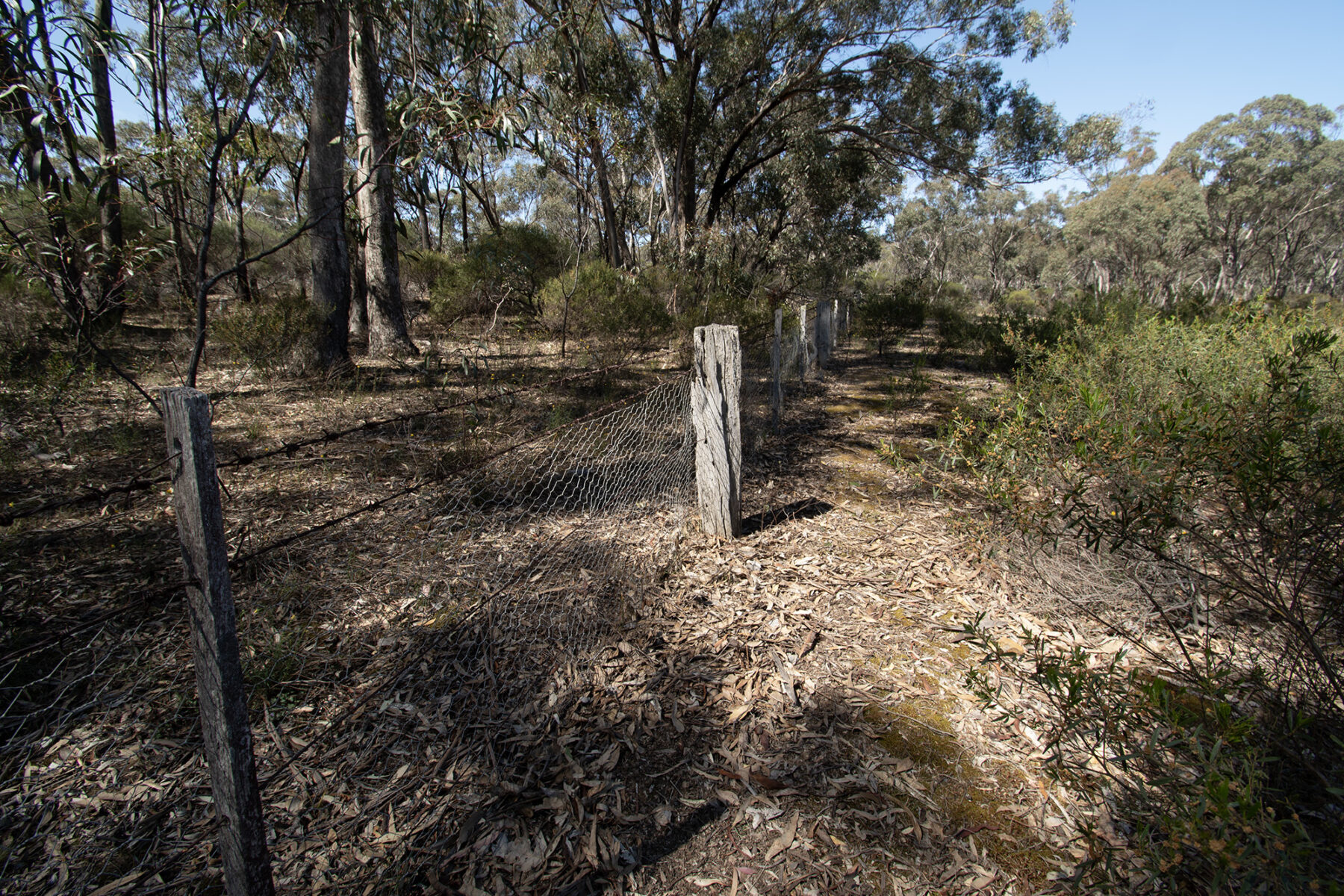 Property: Rheola, Vic, 3517 photo-12