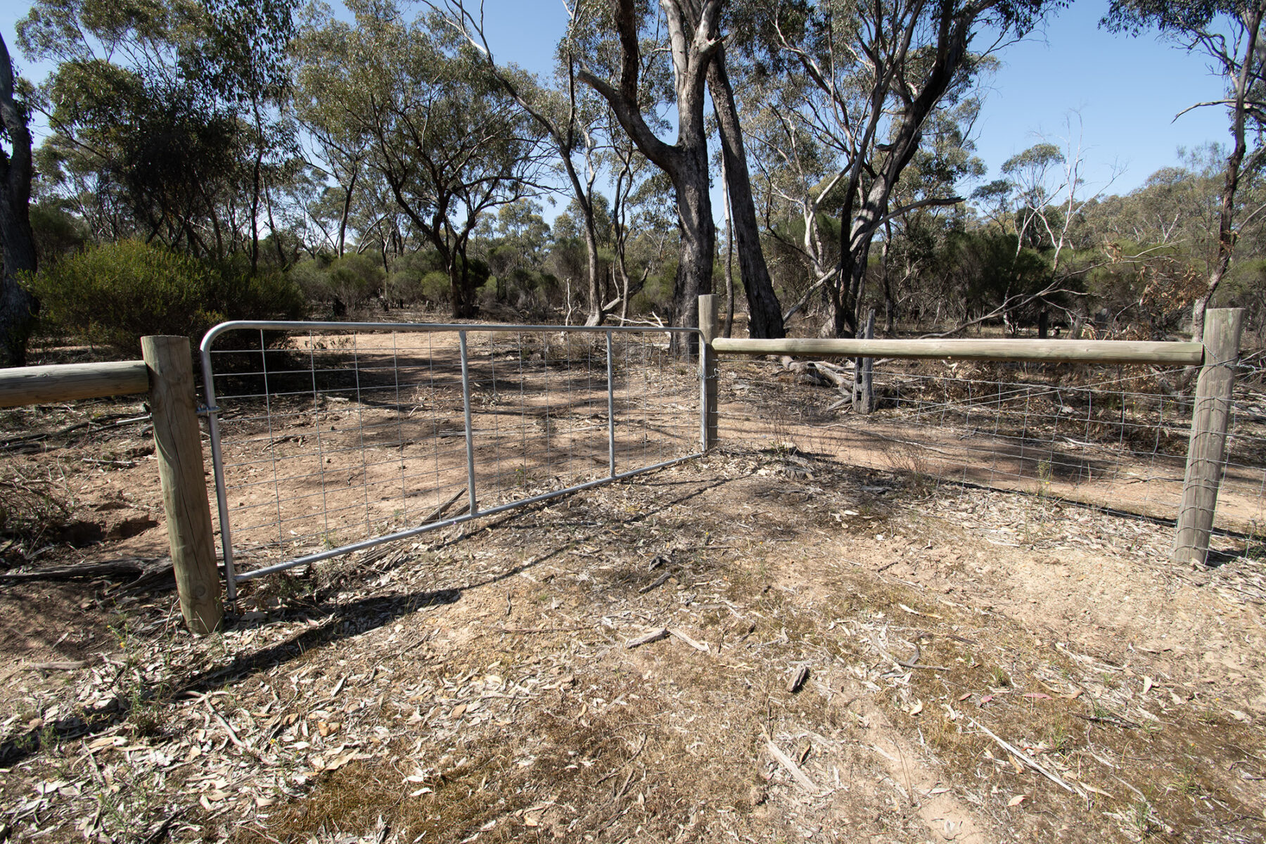 Property: Rheola, Vic, 3517 photo-11