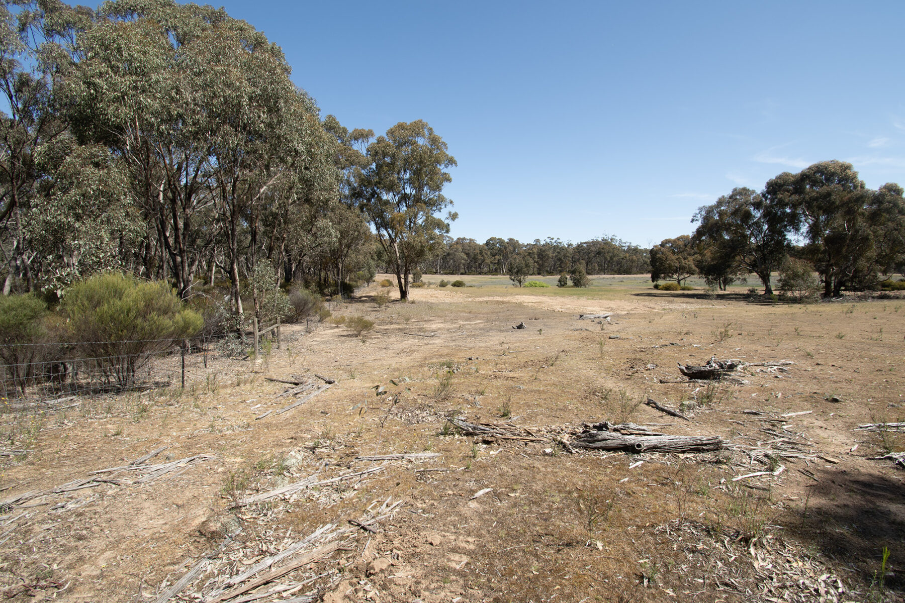 Property: Rheola, Vic, 3517 photo-10