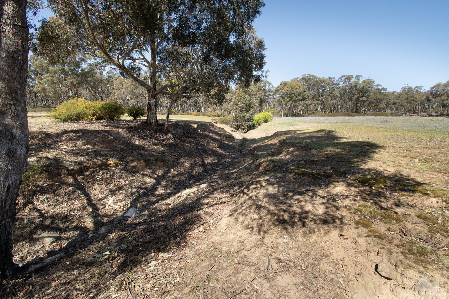 Property: Rheola, Vic, 3517 photo-8