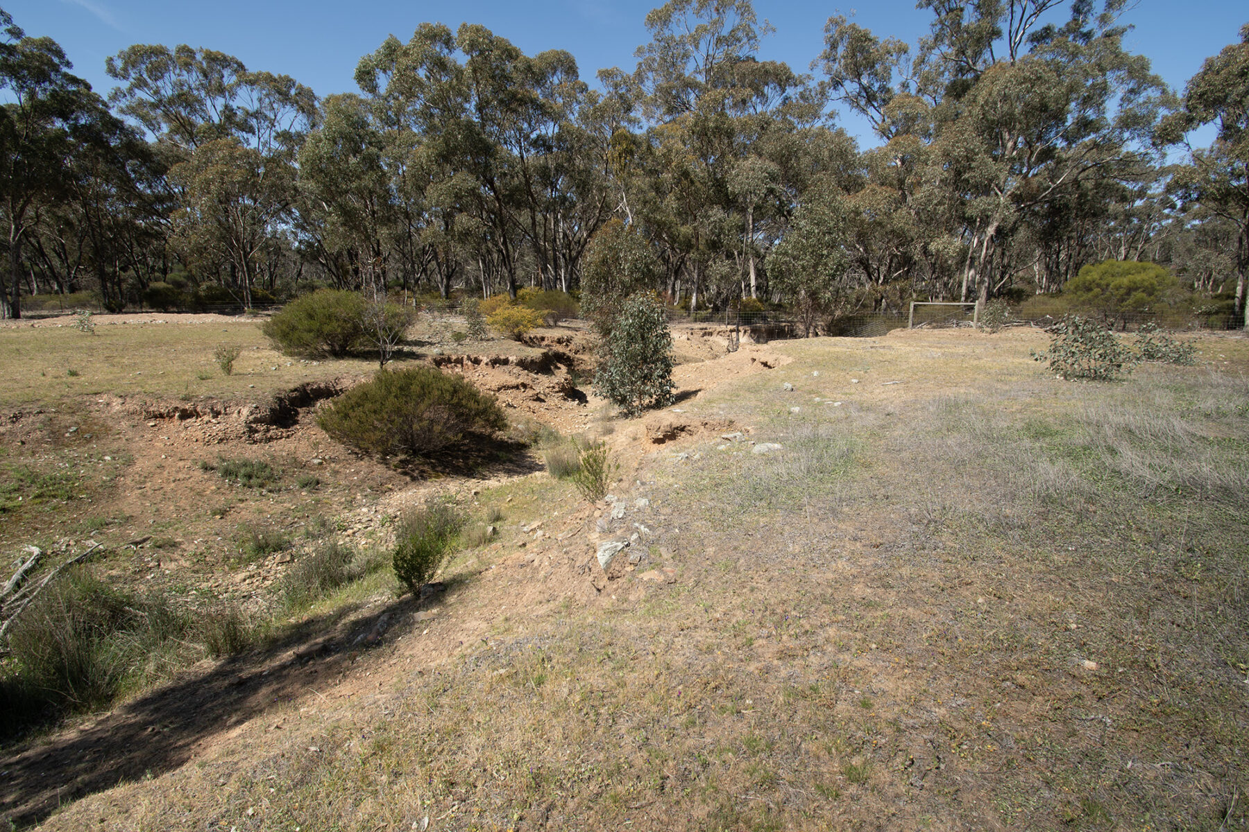 Property: Rheola, Vic, 3517 photo-6