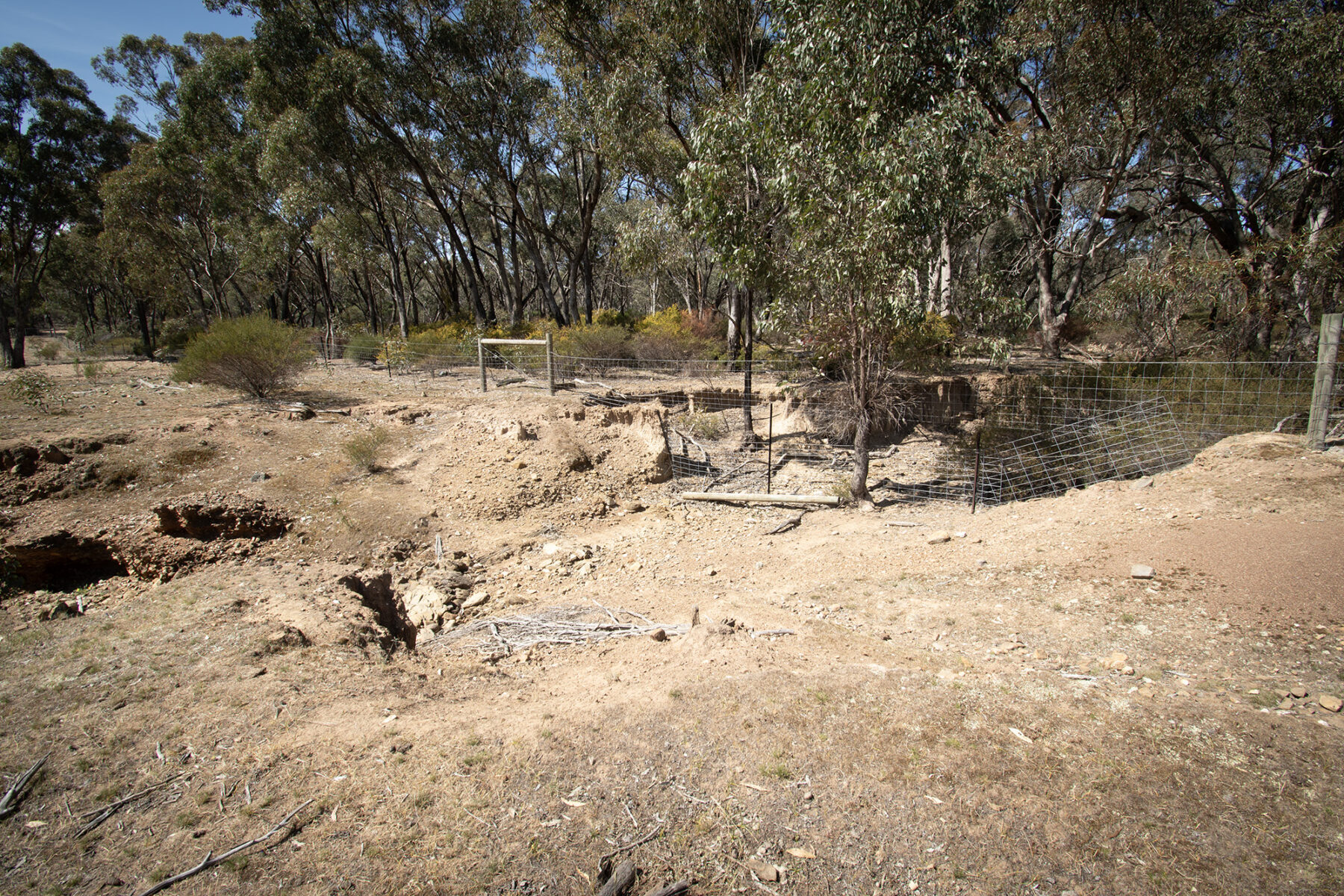 Property: Rheola, Vic, 3517 photo-5