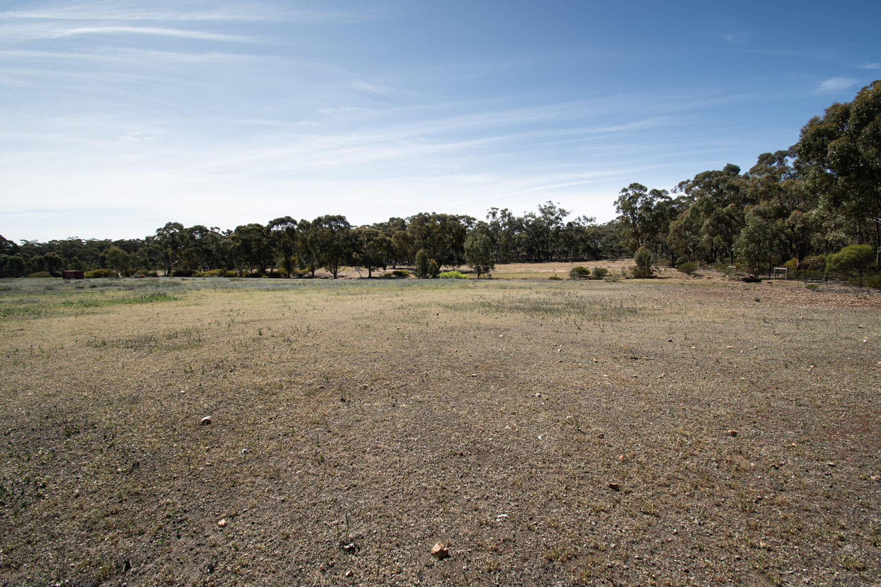 Property: Rheola, Vic, 3517 photo-4
