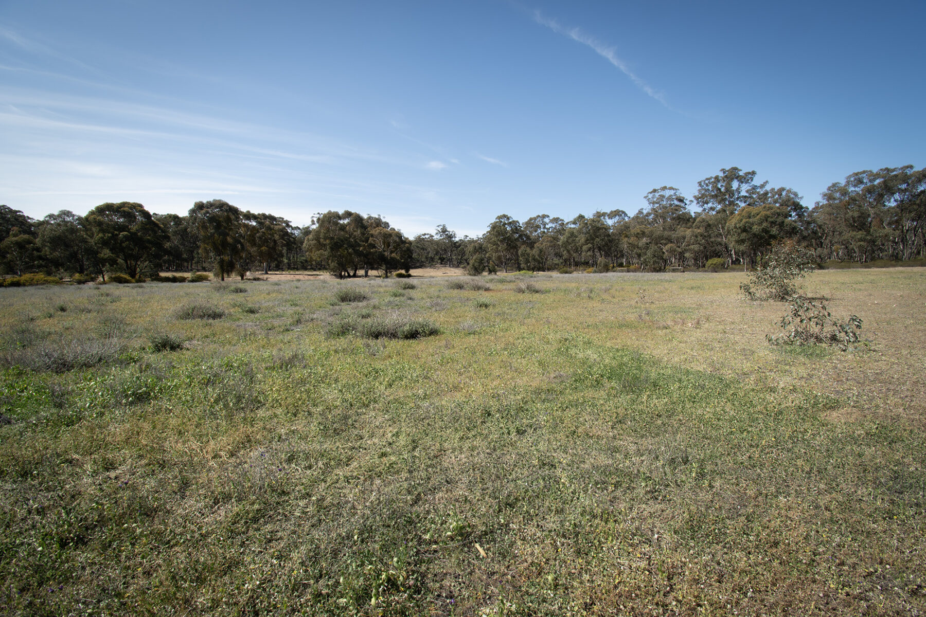 Property: Rheola, Vic, 3517 photo-1