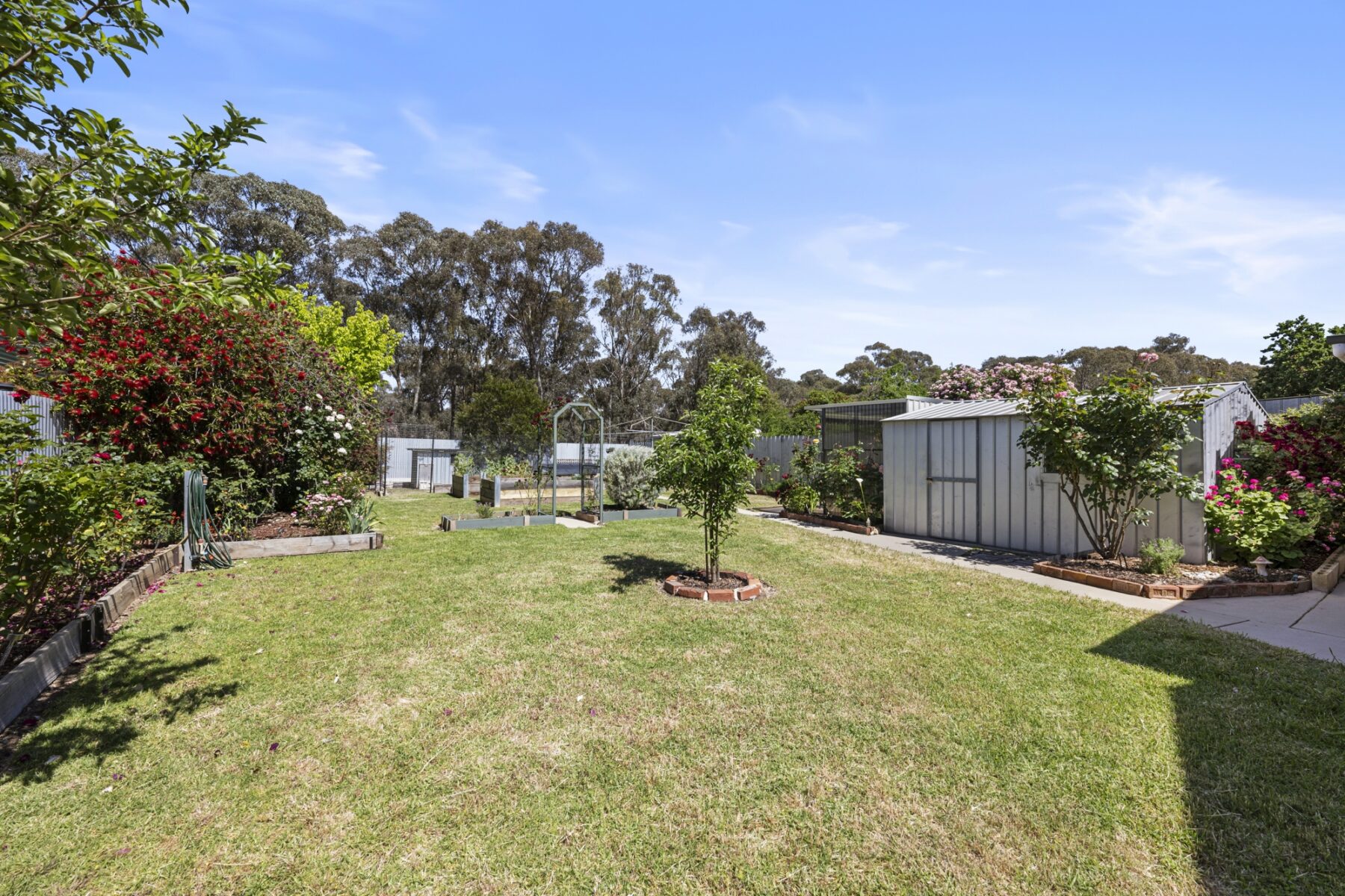 Property: 106 Queens Avenue, Maryborough, VIC, 3465 photo-21