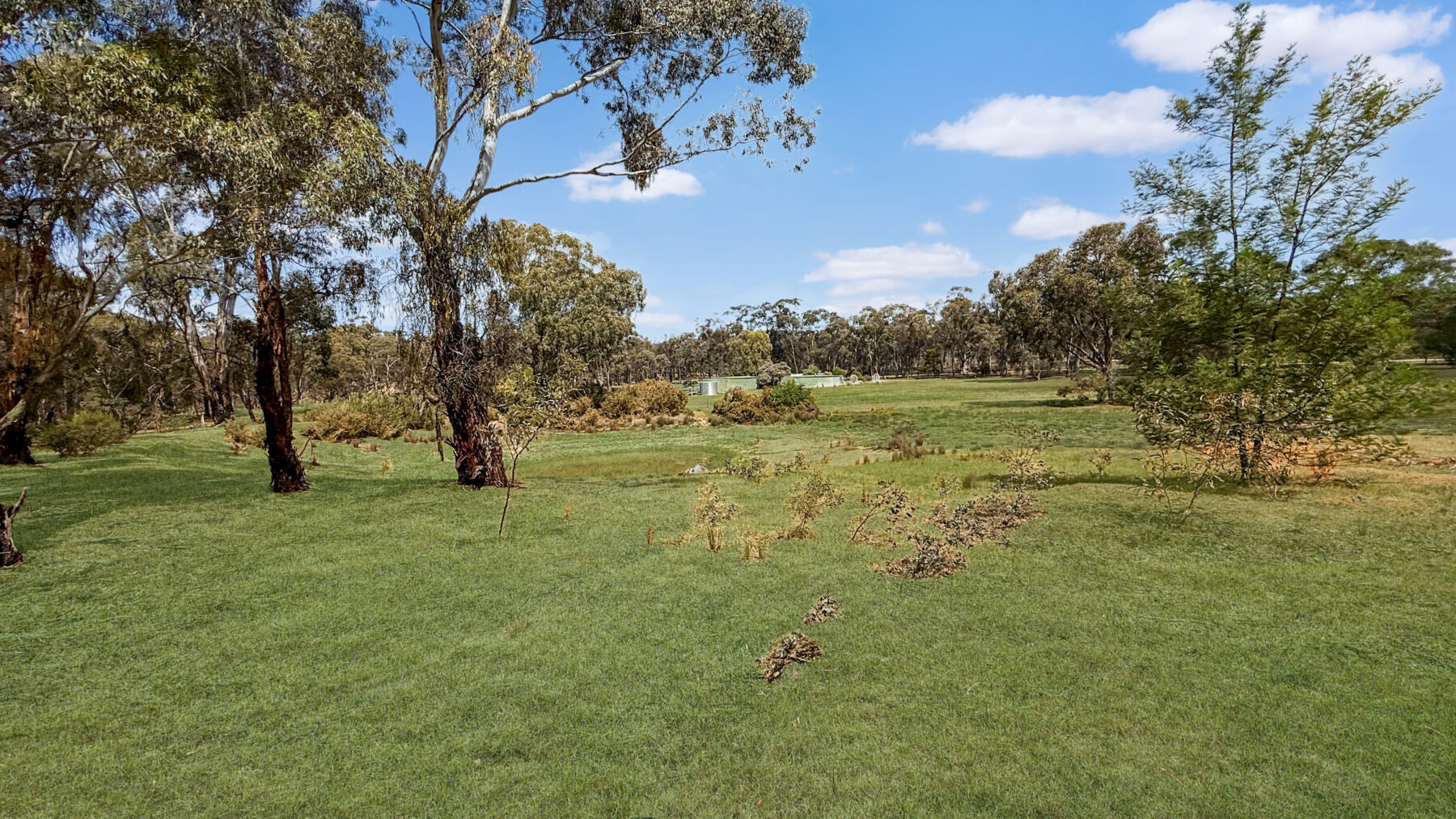 Property: 195 Mosquito Road, Maryborough, VIC, 3465 photo-22