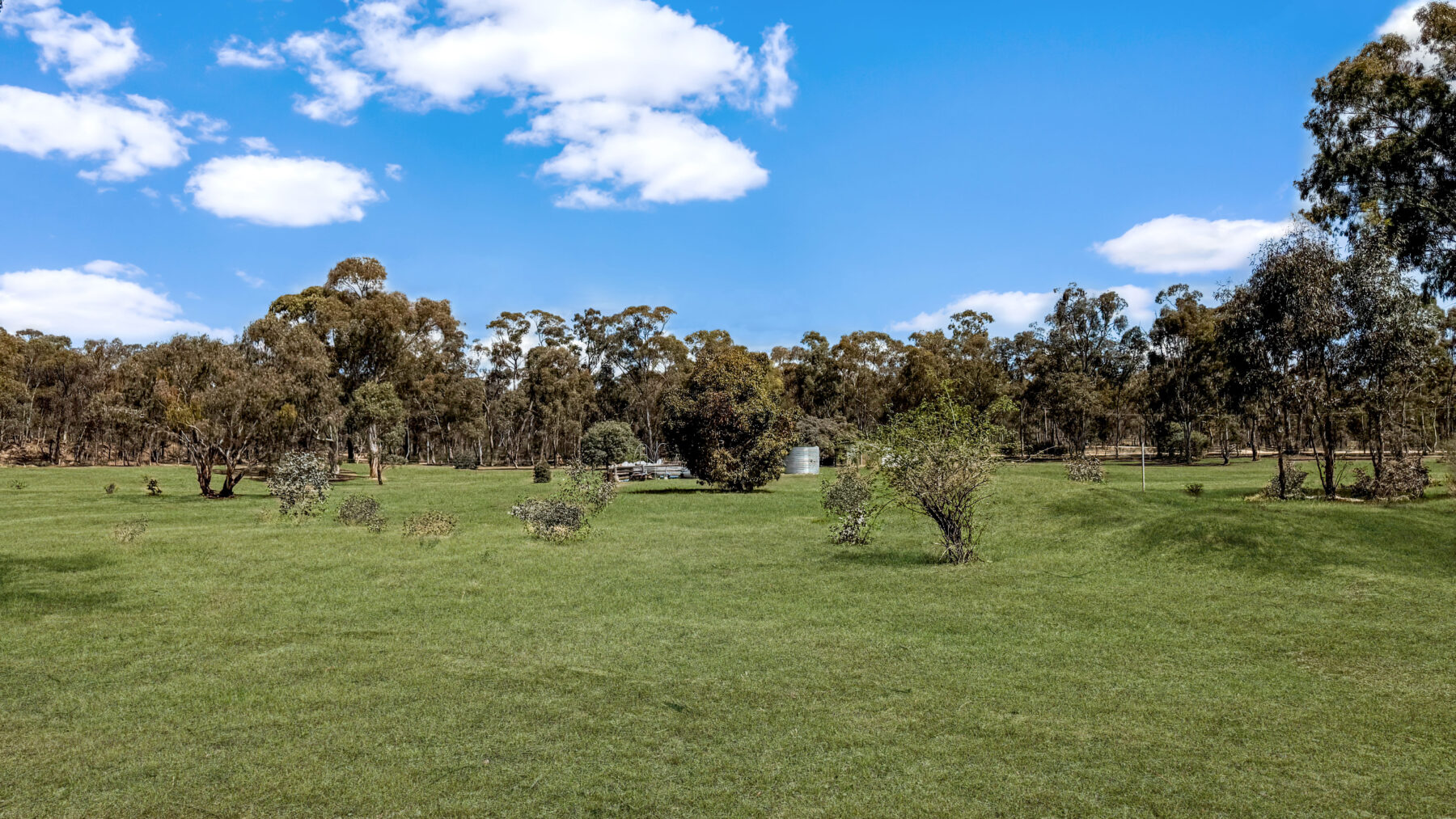 Property: 195 Mosquito Road, Maryborough, VIC, 3465 photo-23