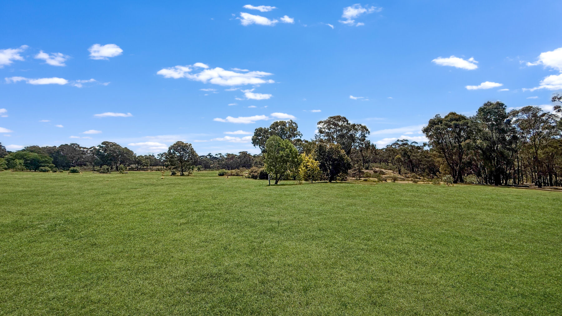 Property: 195 Mosquito Road, Maryborough, VIC, 3465 photo-24