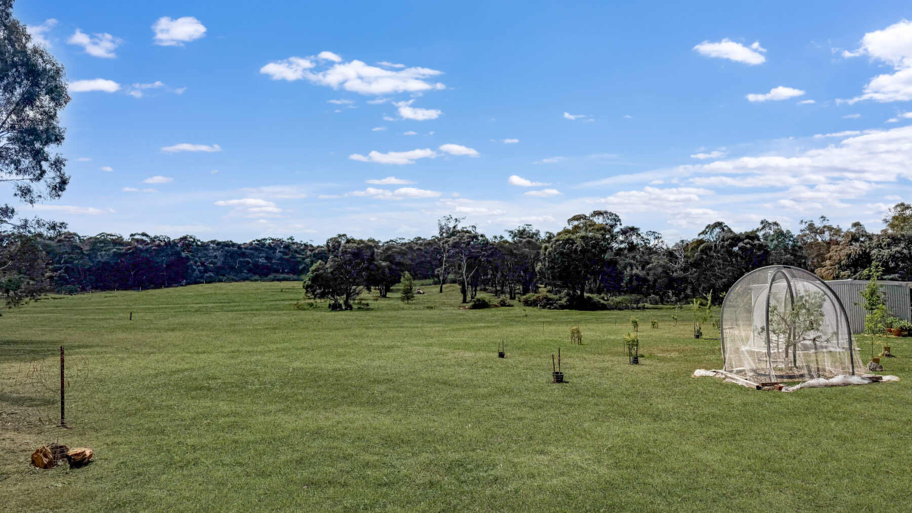 Property: 195 Mosquito Road, Maryborough, VIC, 3465 photo-28