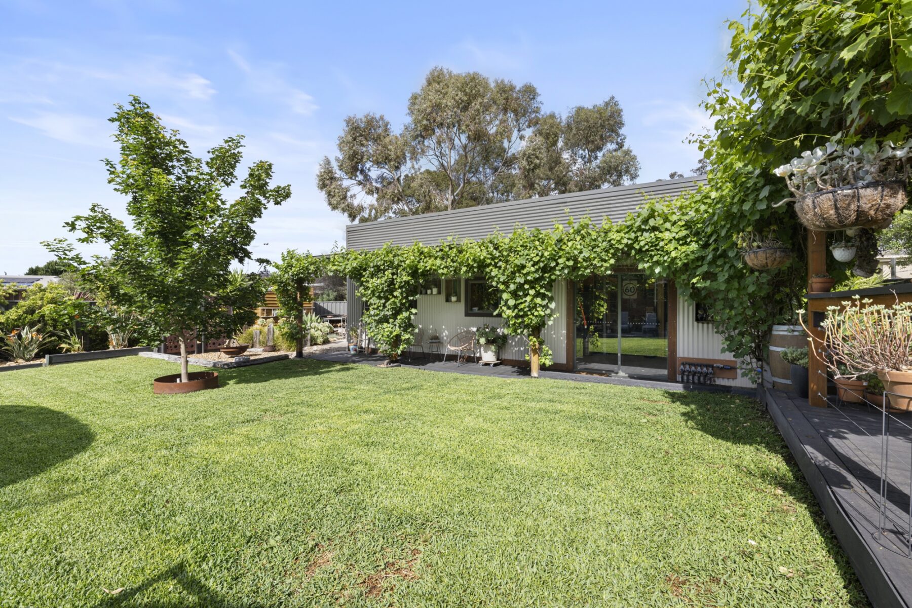 Property: 107 Field Street, Maryborough, VIC, 3465 photo-5