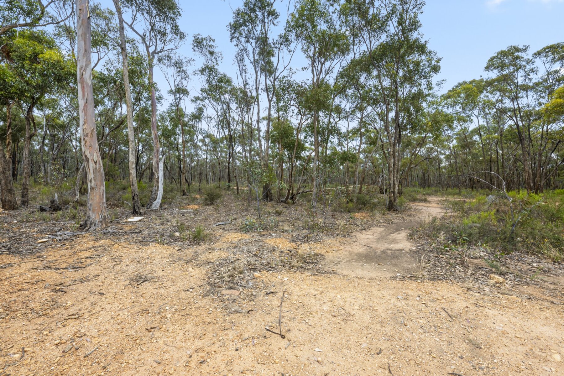 Property: 46 Forest View Drive, Maryborough, VIC, 3465 photo-19