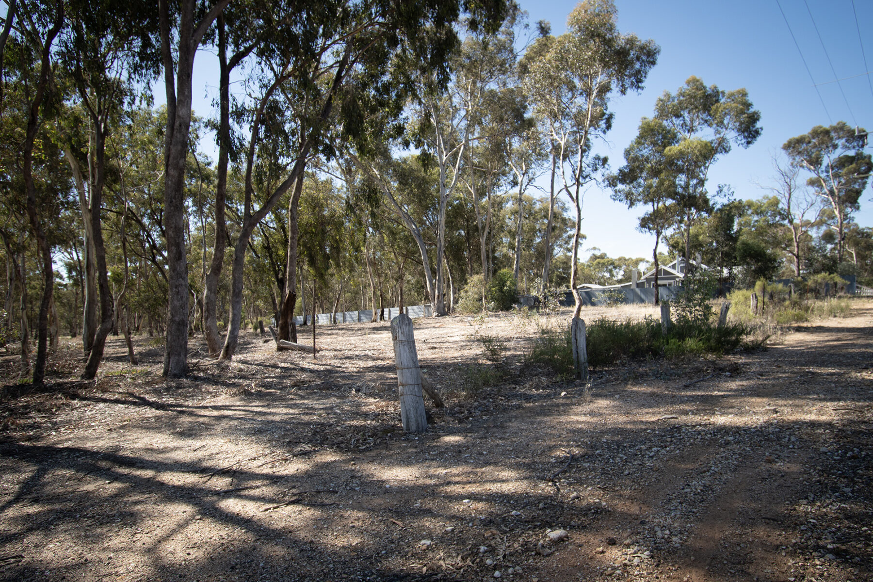 Property: 6 Elgin Street, Dunolly, VIC, 3472 photo-9