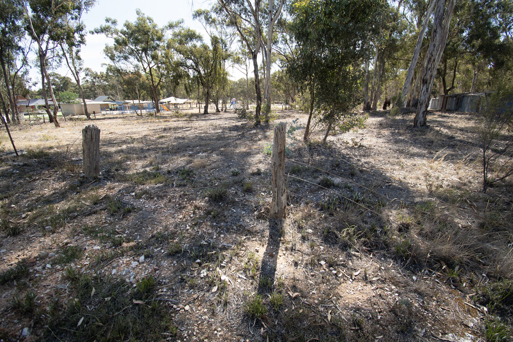 Property: 6 Elgin Street, Dunolly, VIC, 3472 photo-7