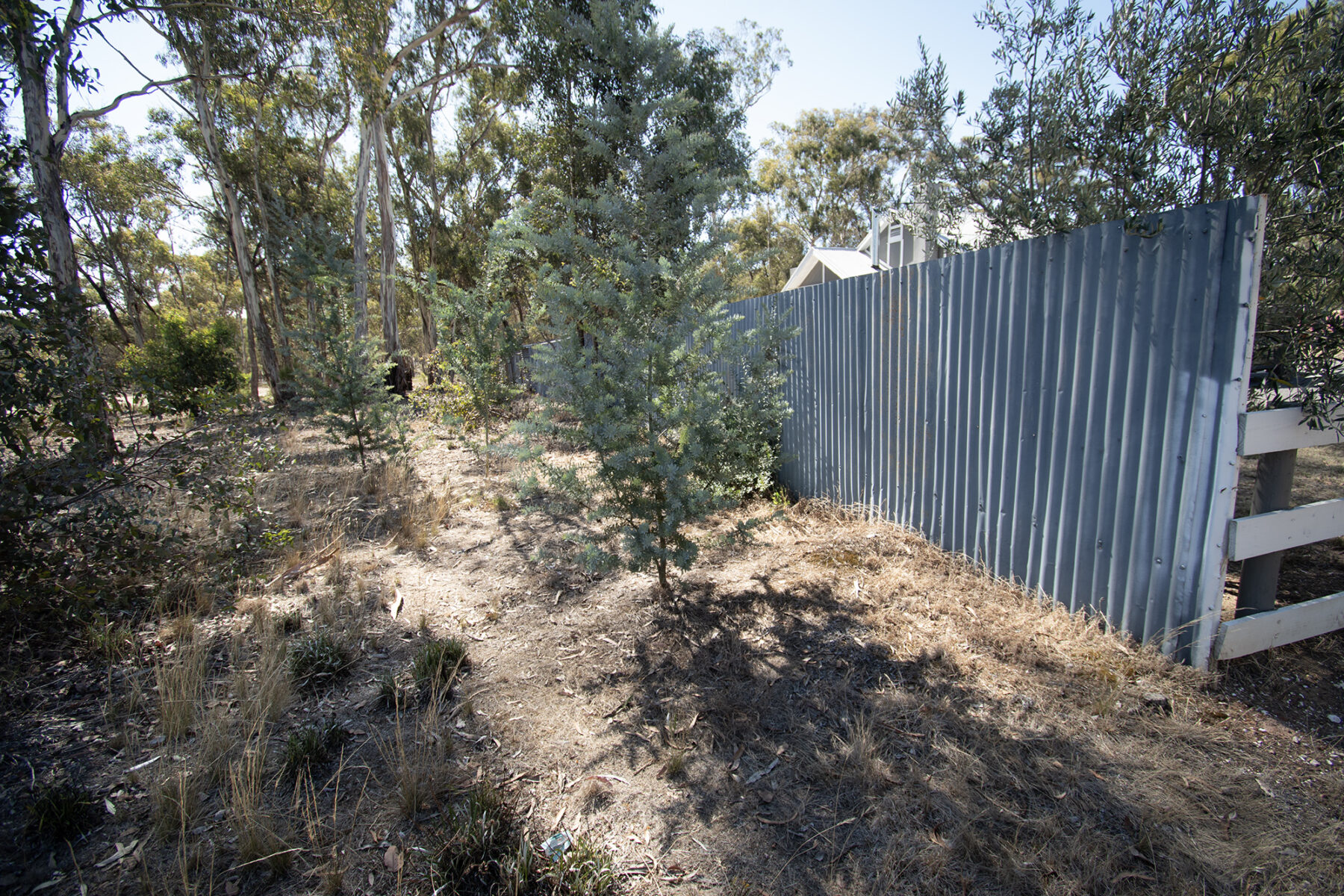 Property: 6 Elgin Street, Dunolly, VIC, 3472 photo-6