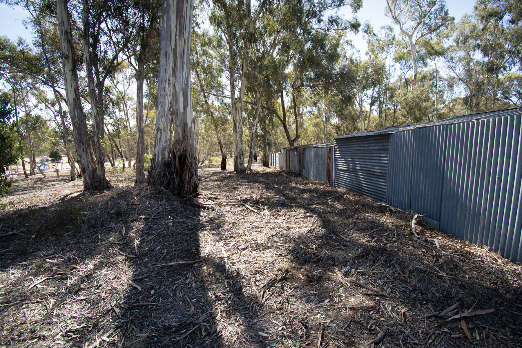 Property: 6 Elgin Street, Dunolly, VIC, 3472 photo-5