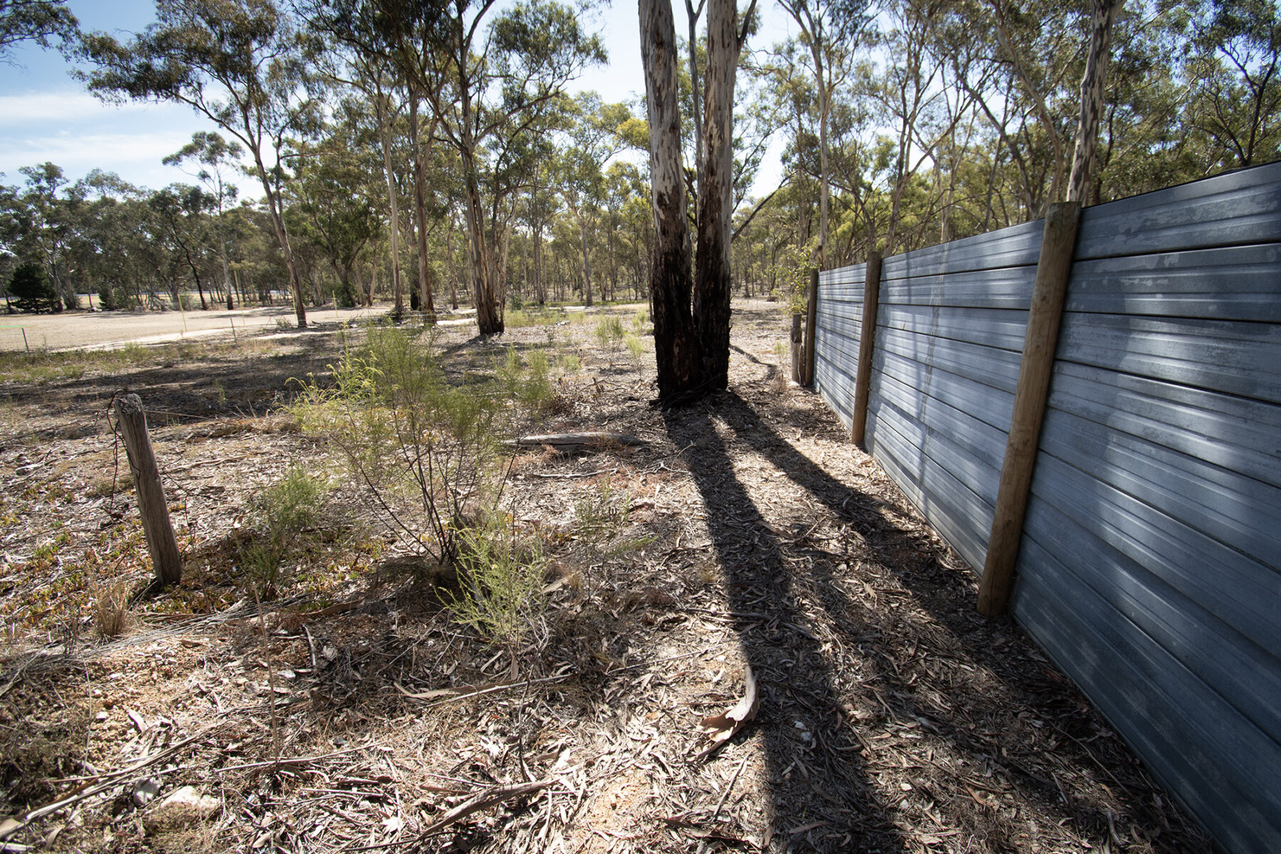 Property: 6 Elgin Street, Dunolly, VIC, 3472 photo-3