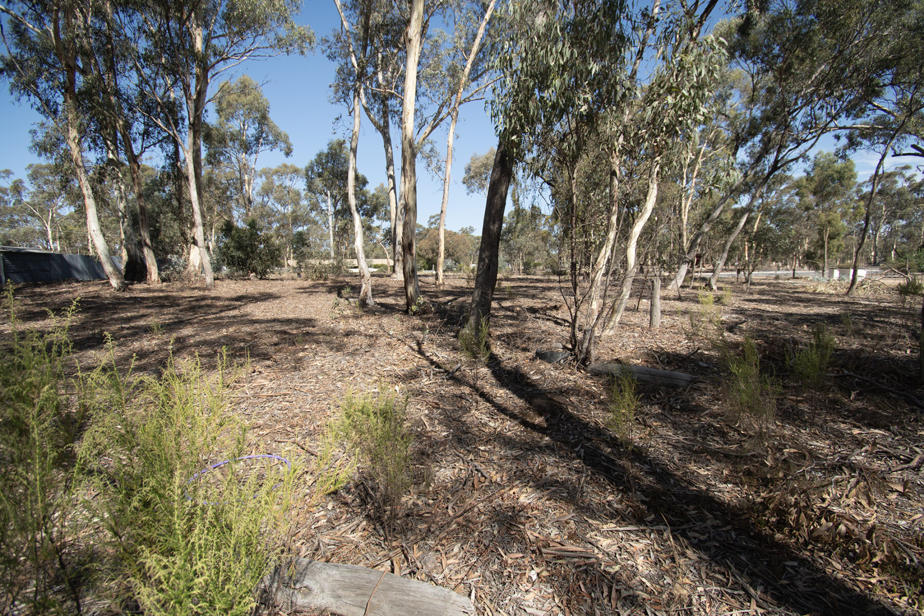 Property: 6 Elgin Street, Dunolly, VIC, 3472 photo-2