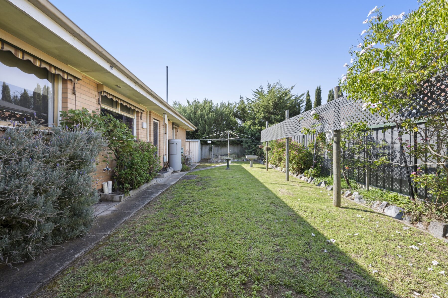 Property: 21 Peel Street, Maryborough, VIC, 3465 photo-17