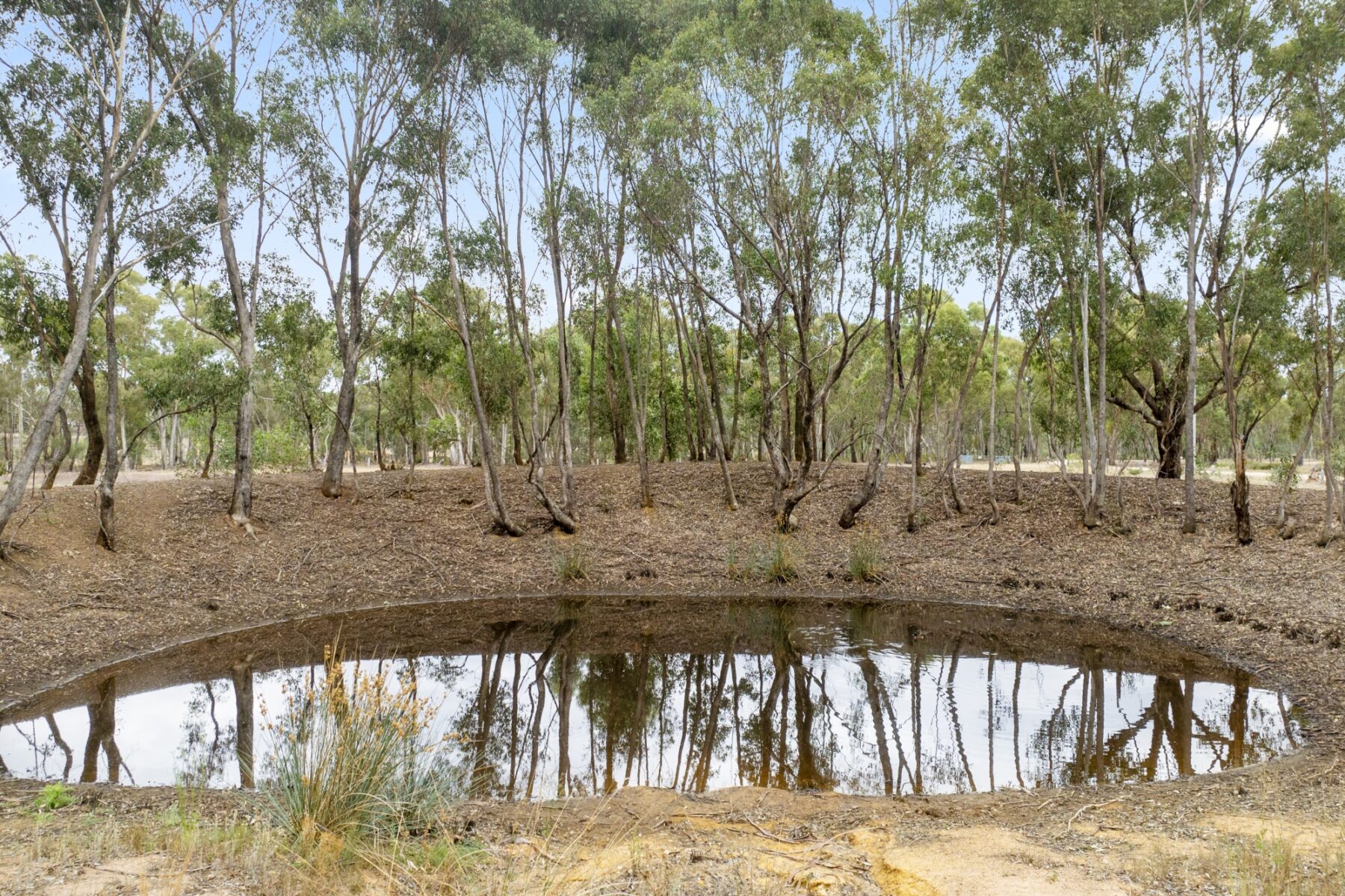 Property: 10 Peg Leg Track, Simson, VIC, 3465 photo-13