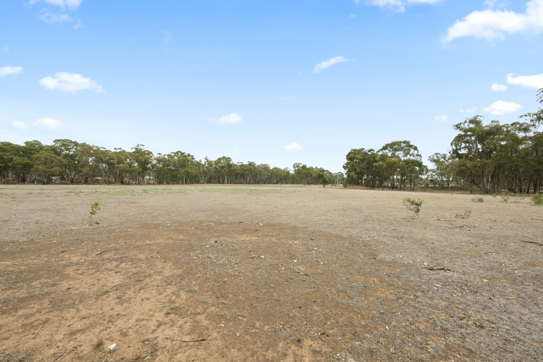 Property: 10 Peg Leg Track, Simson, VIC, 3465 photo-2