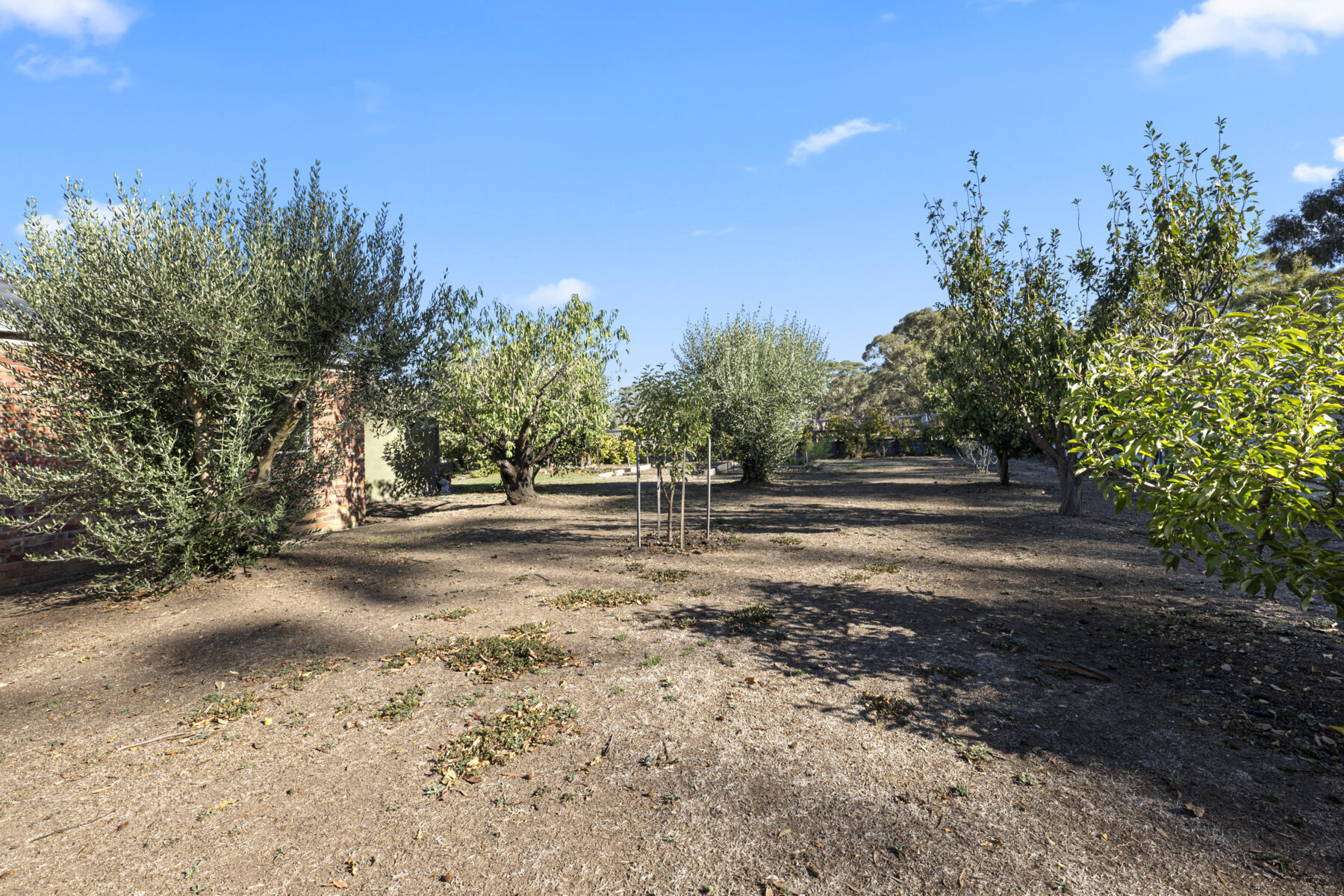 Property: 4 Dehnerts Road, Daisy Hill, VIC, 3465 photo-19