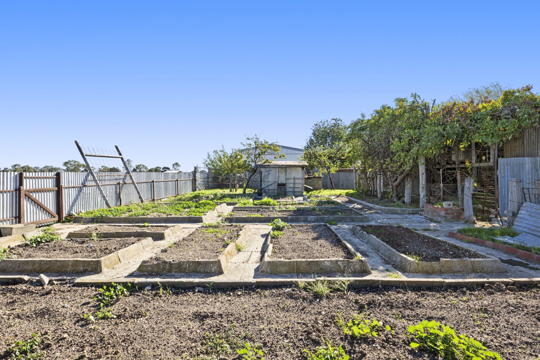 Property: 21 Homebush Road, Avoca, VIC, 3467 photo-10