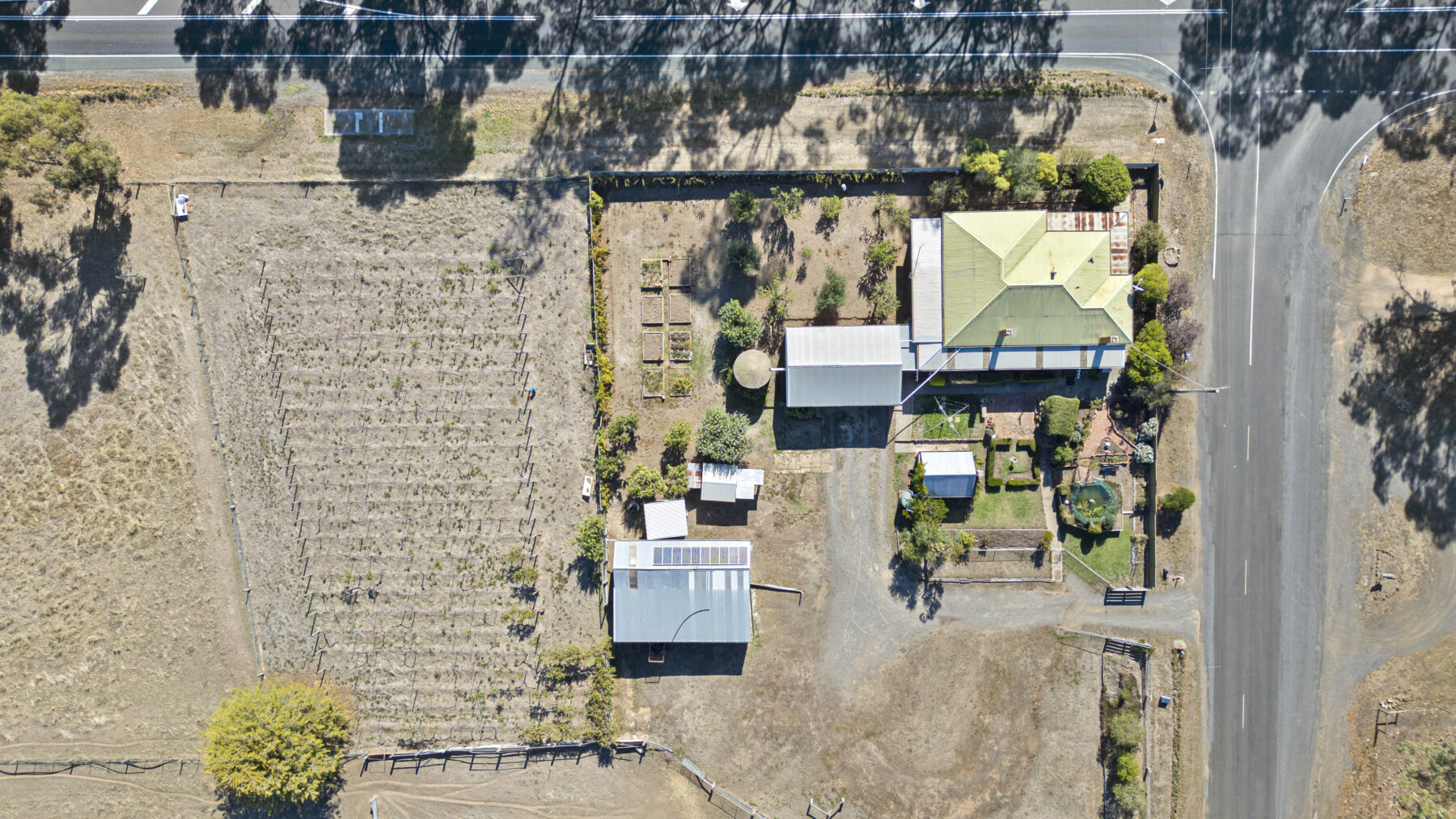 Property: 4 Dehnerts Road, Daisy Hill, VIC, 3465 photo-4