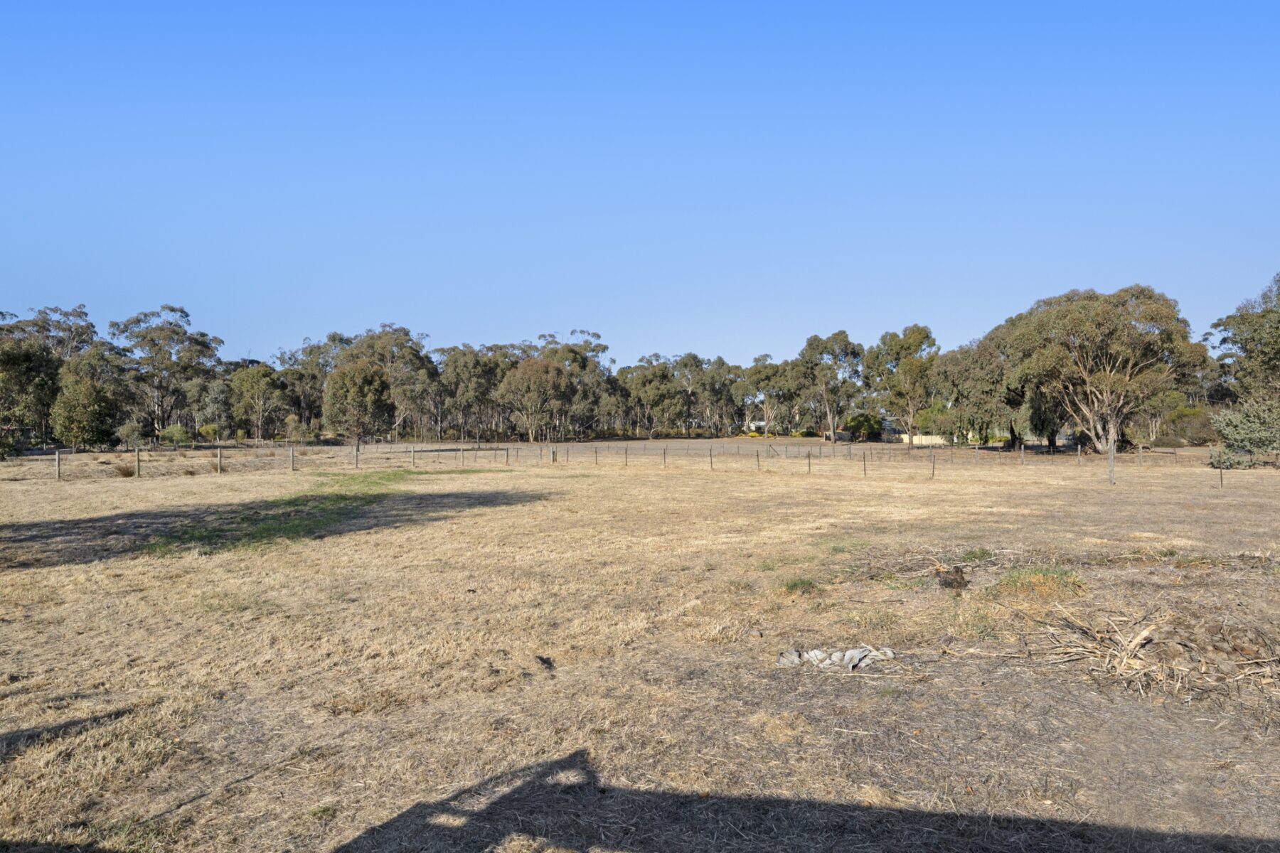 Property: 7 Massimo Court, Maryborough, VIC, 3465 photo-8