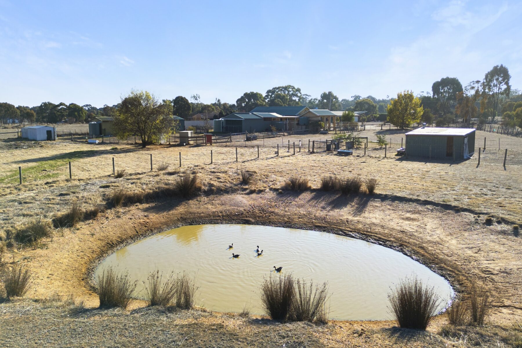 Property: 7 Massimo Court, Maryborough, VIC, 3465 photo-6