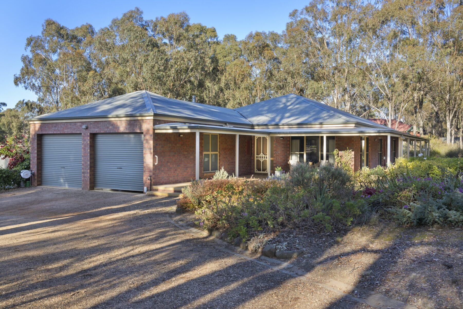 Property: 9 Ghost Gums Boulevarde, Maryborough, VIC, 3465 photo-12