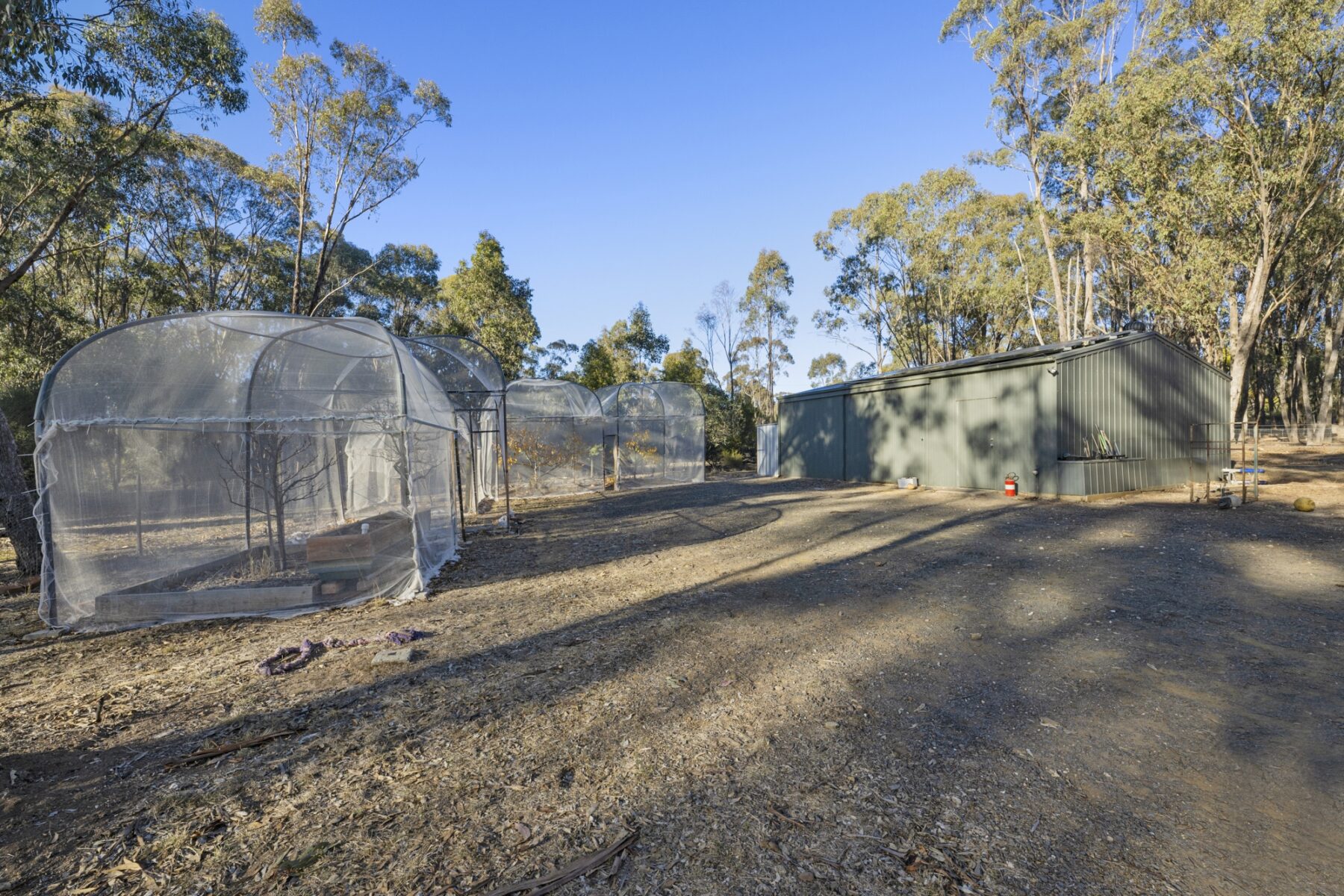 Property: 9 Ghost Gums Boulevarde, Maryborough, VIC, 3465 photo-16