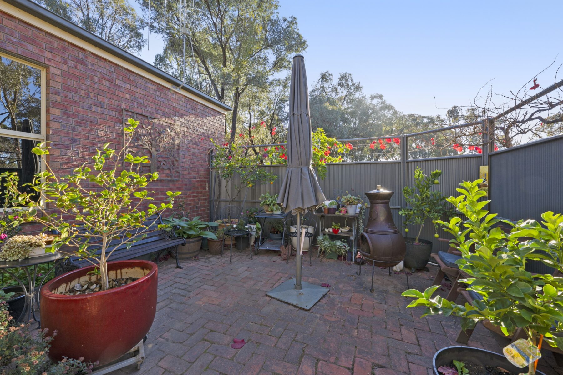 Property: 9 Ghost Gums Boulevarde, Maryborough, VIC, 3465 photo-18